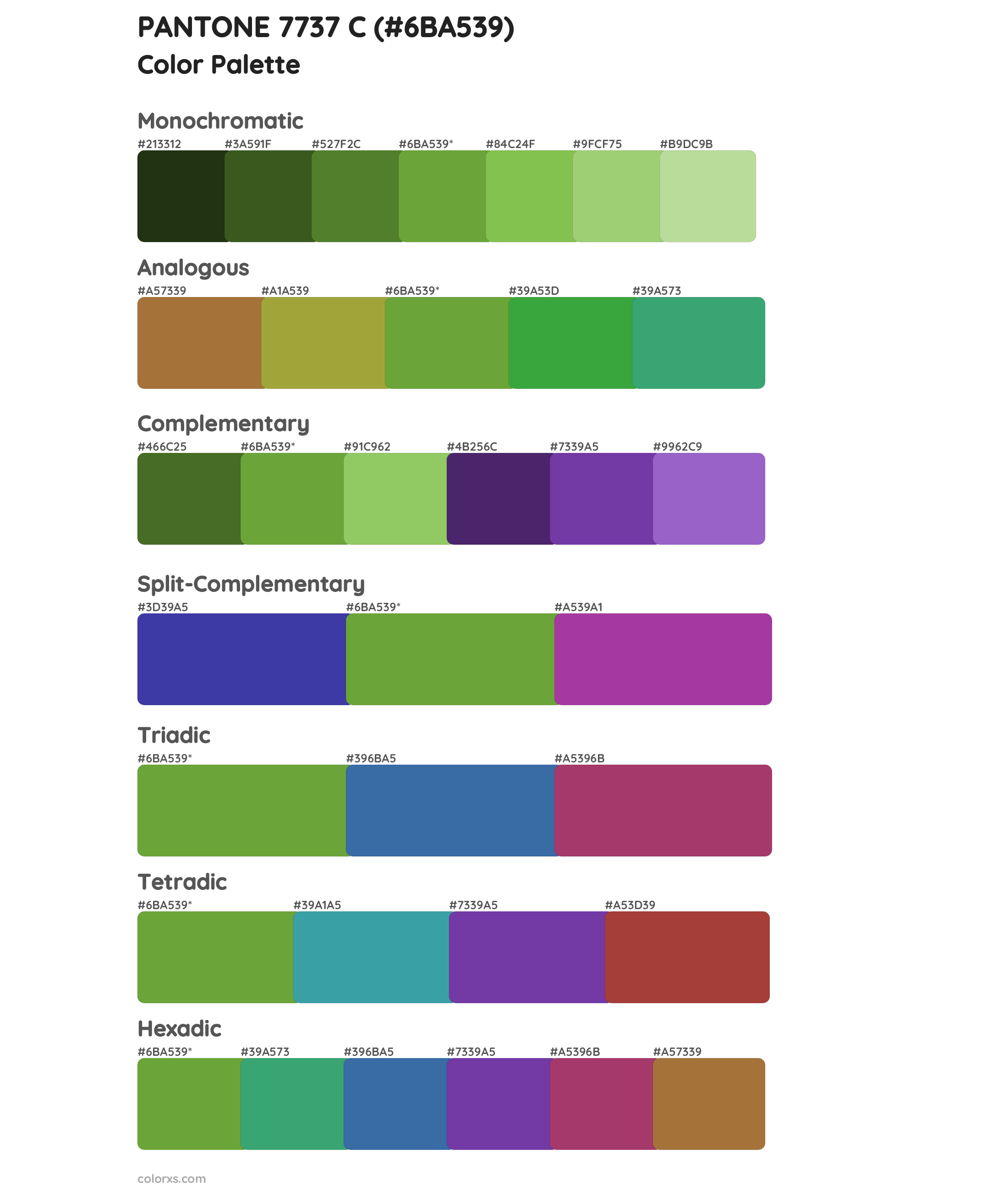 PANTONE 7737 C Color Scheme Palettes