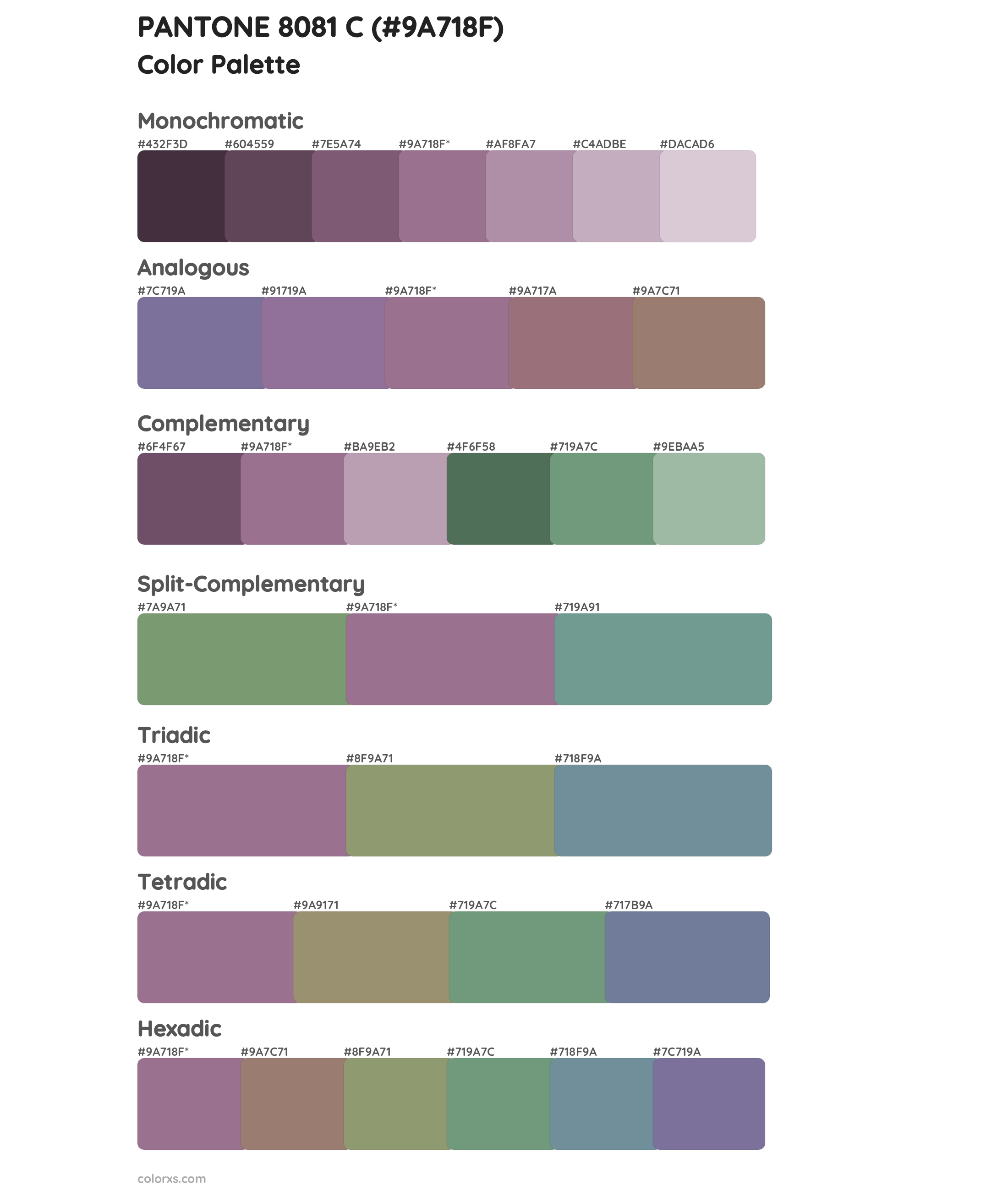 PANTONE 8081 C Color Scheme Palettes