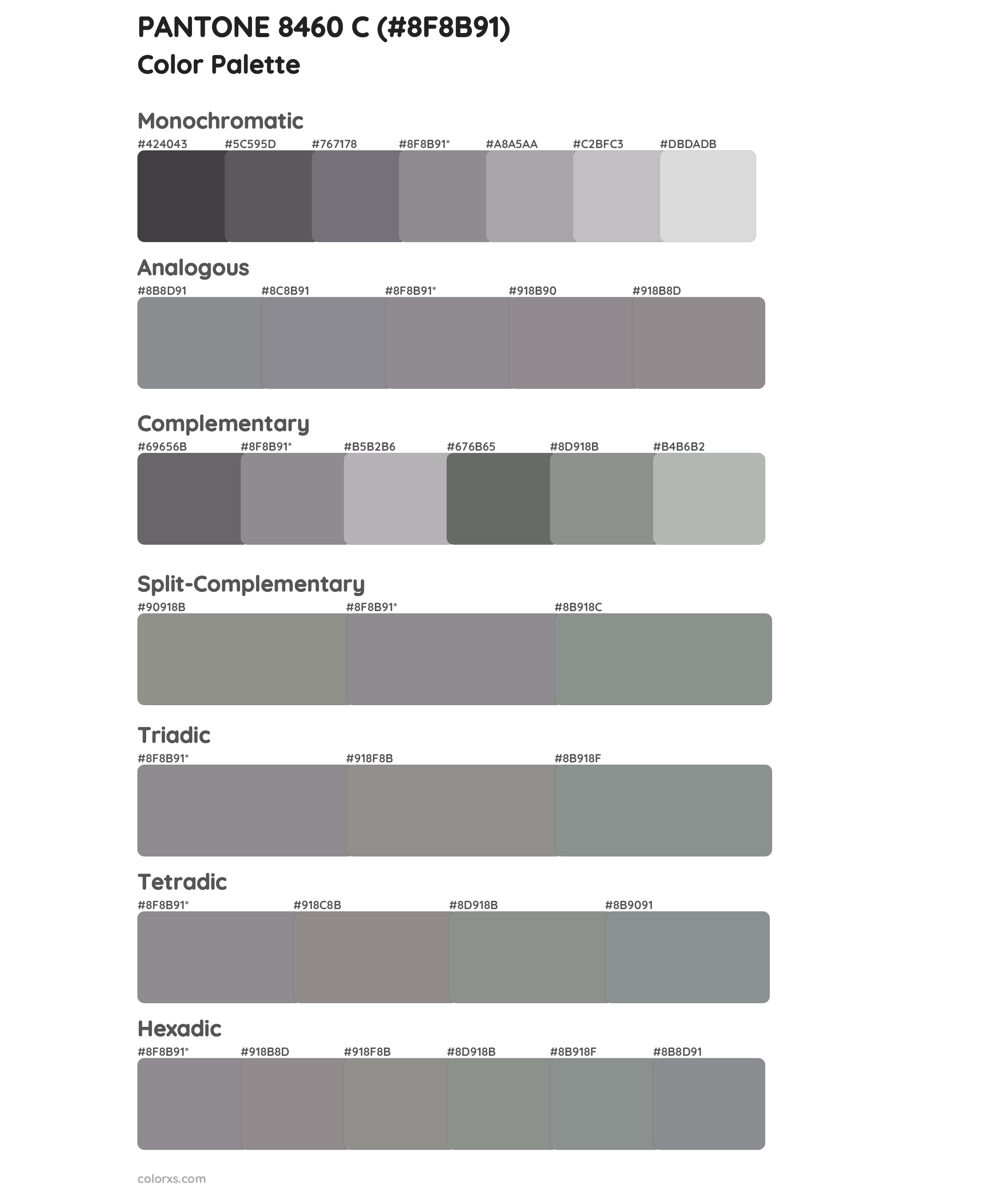 PANTONE 8460 C Color Scheme Palettes