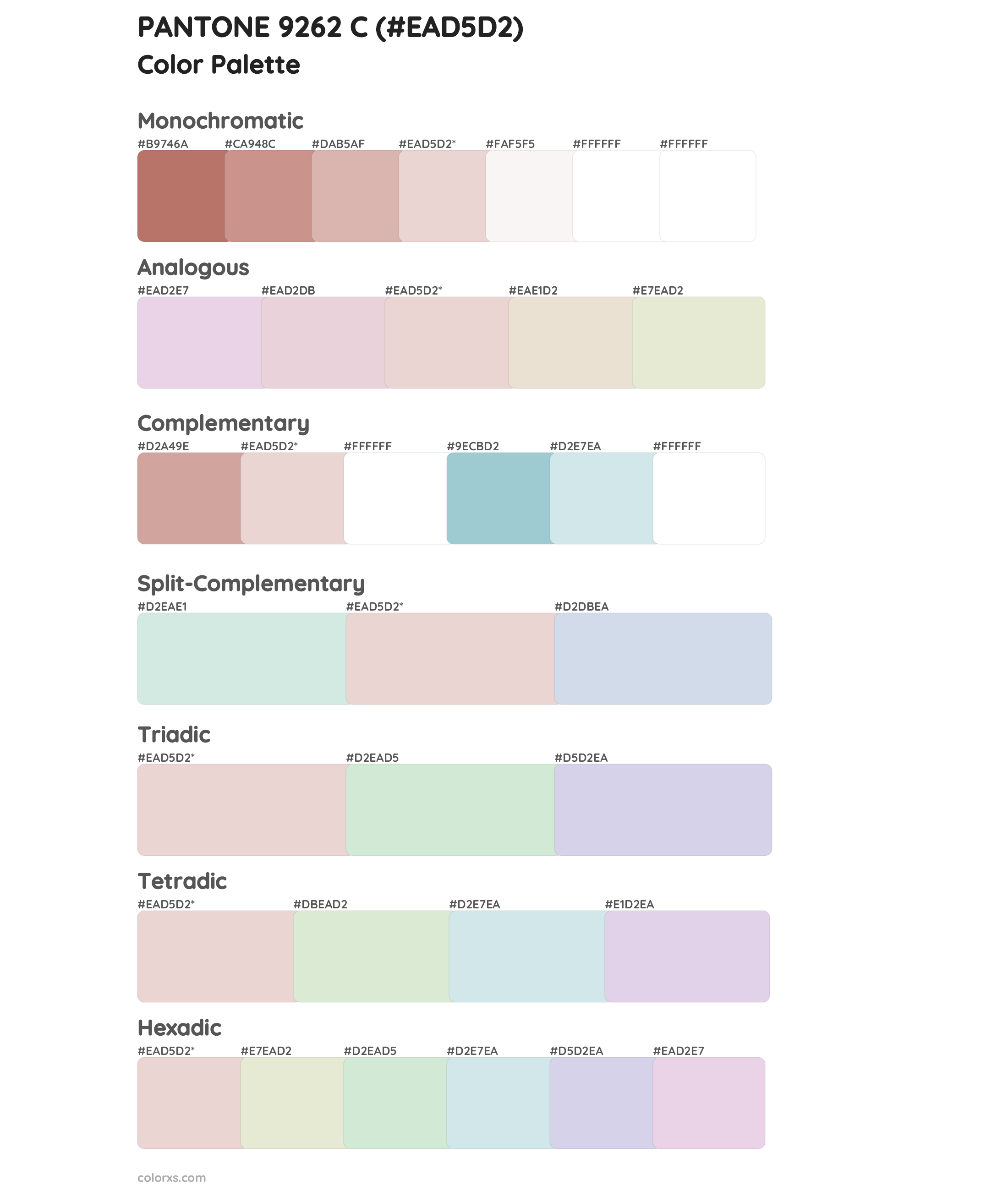 PANTONE 9262 C Color Scheme Palettes