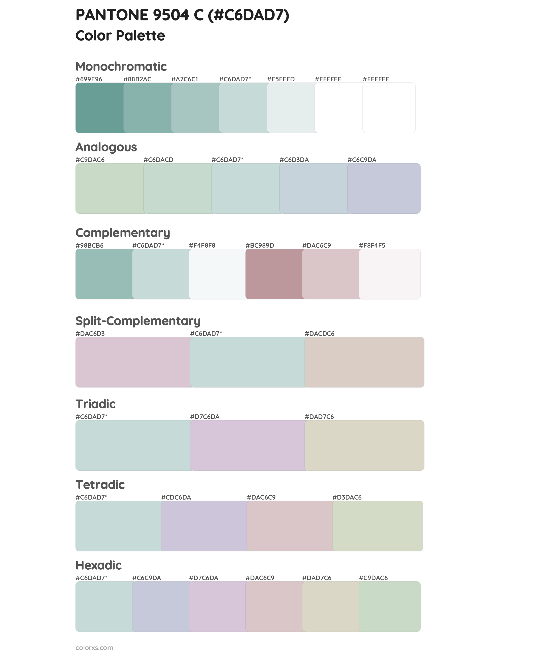 PANTONE 9504 C Color Scheme Palettes