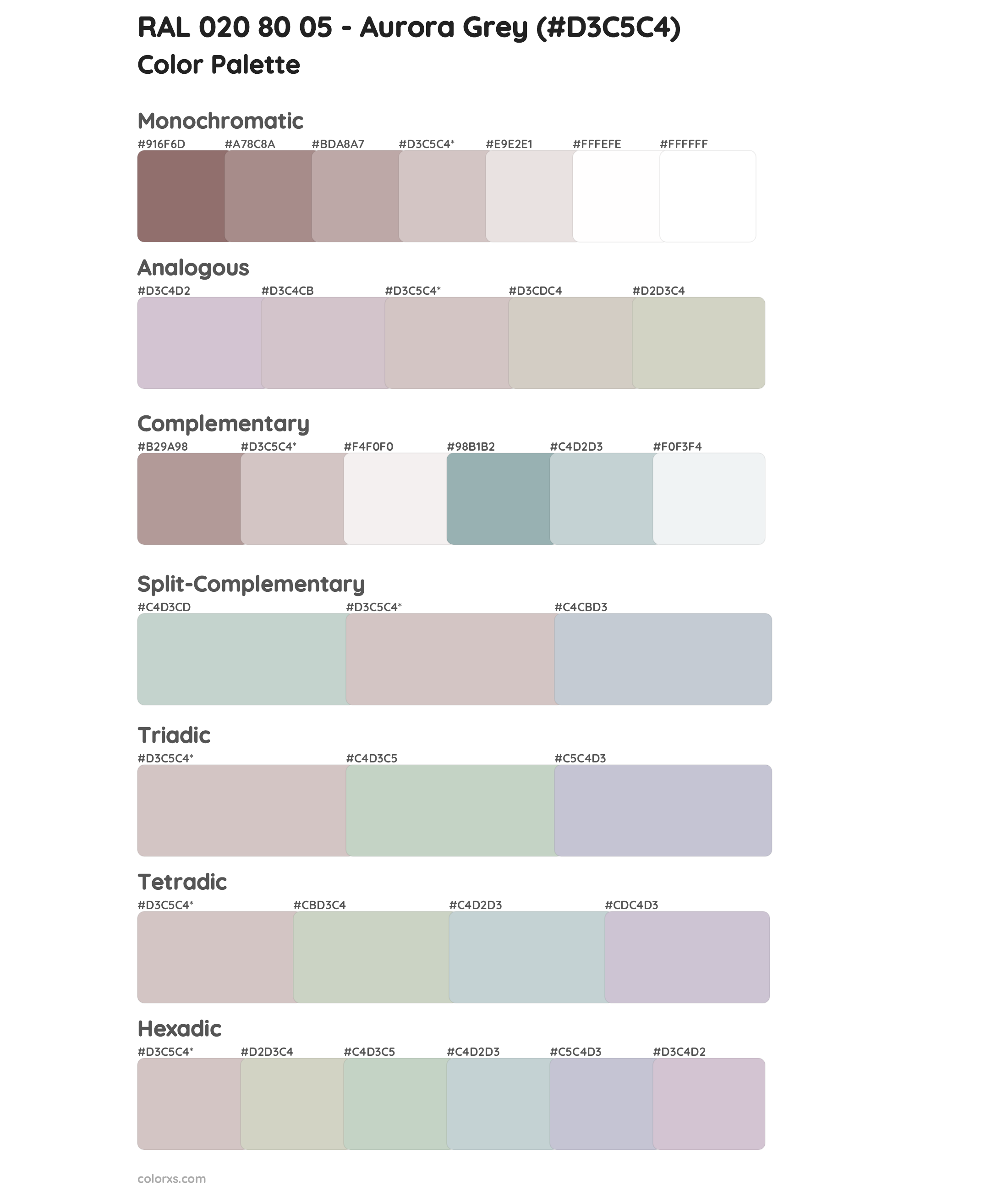 RAL 020 80 05 - Aurora Grey Color Scheme Palettes