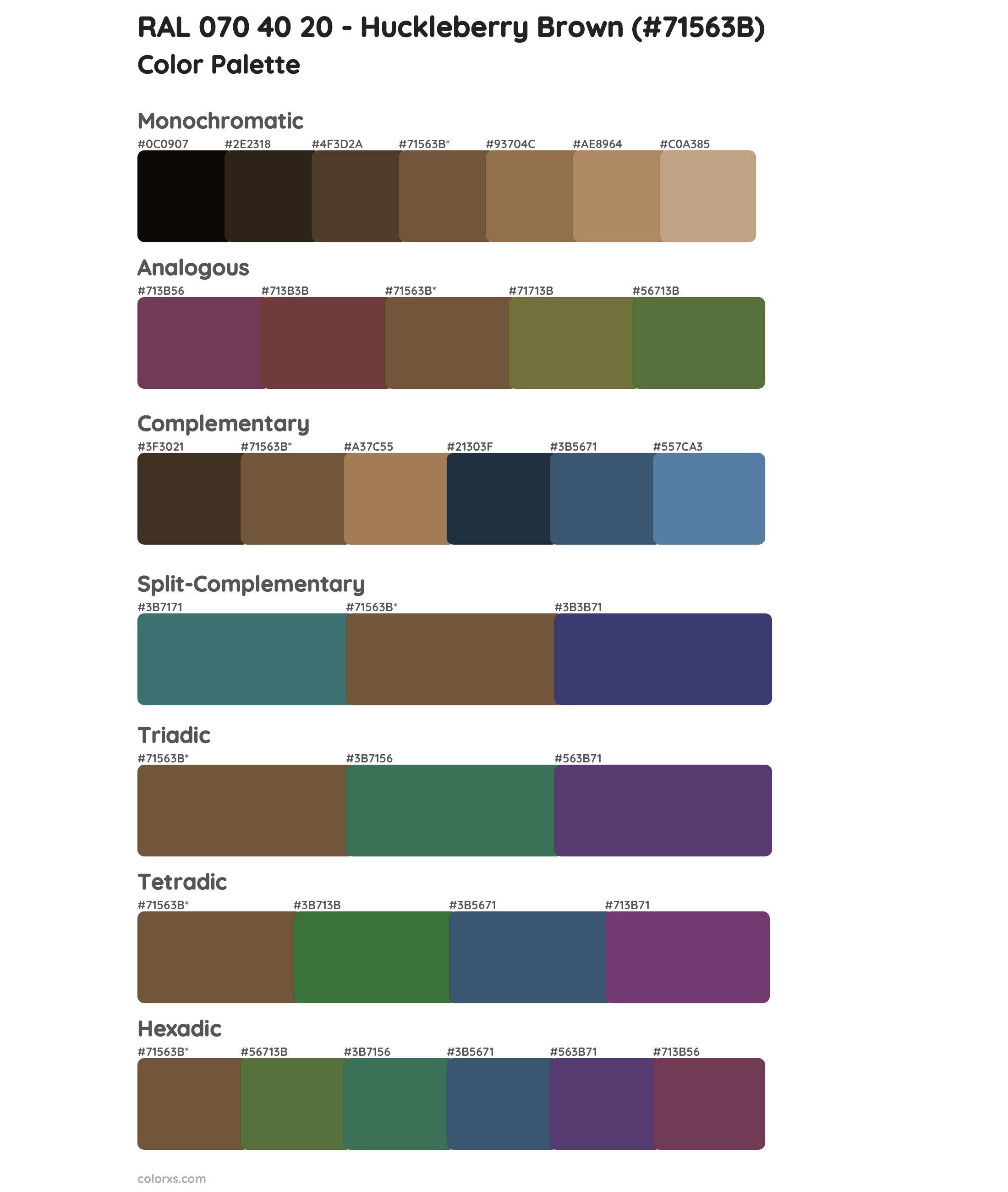 RAL 070 40 20 - Huckleberry Brown Color Scheme Palettes