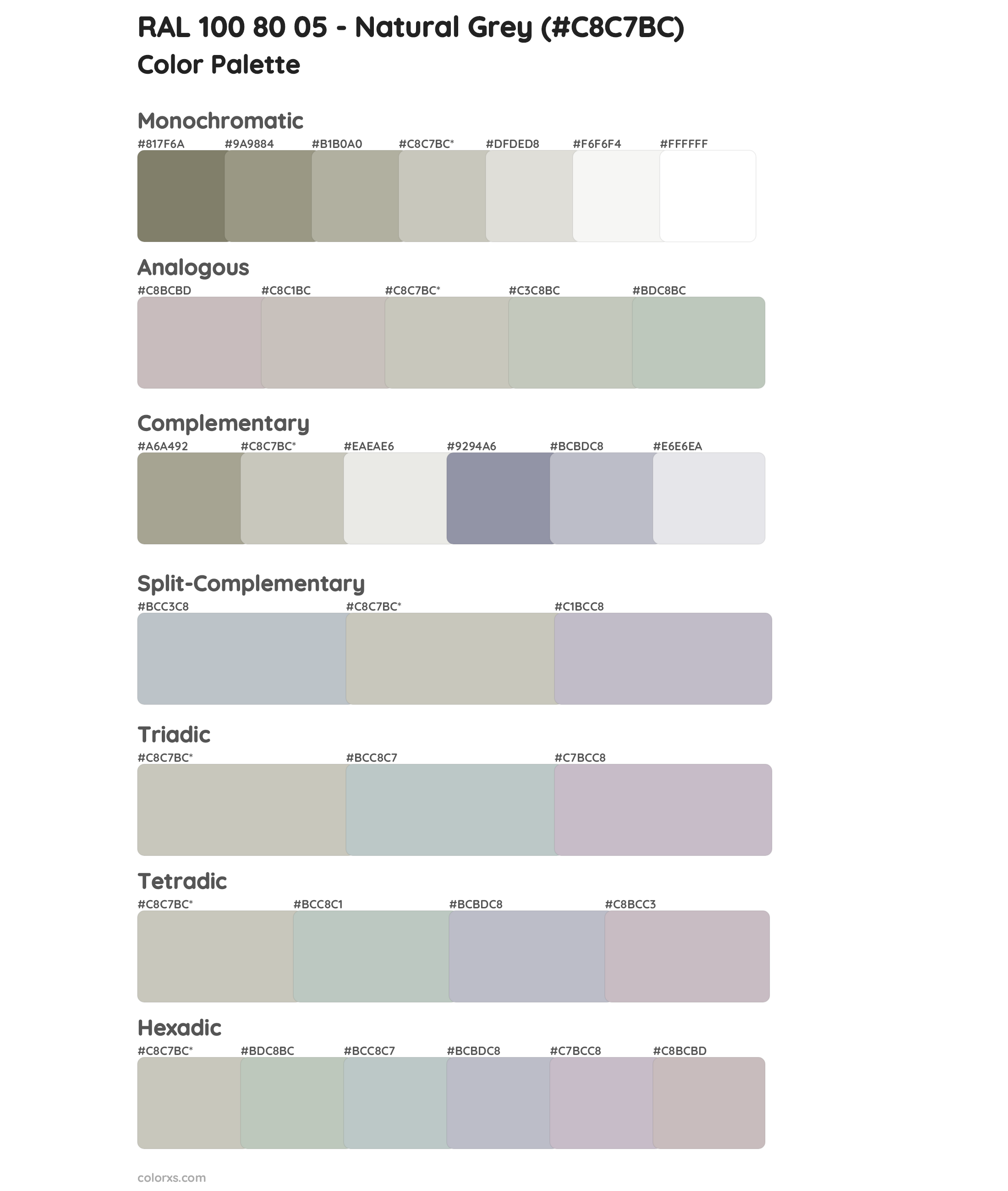 RAL 100 80 05 - Natural Grey Color Scheme Palettes