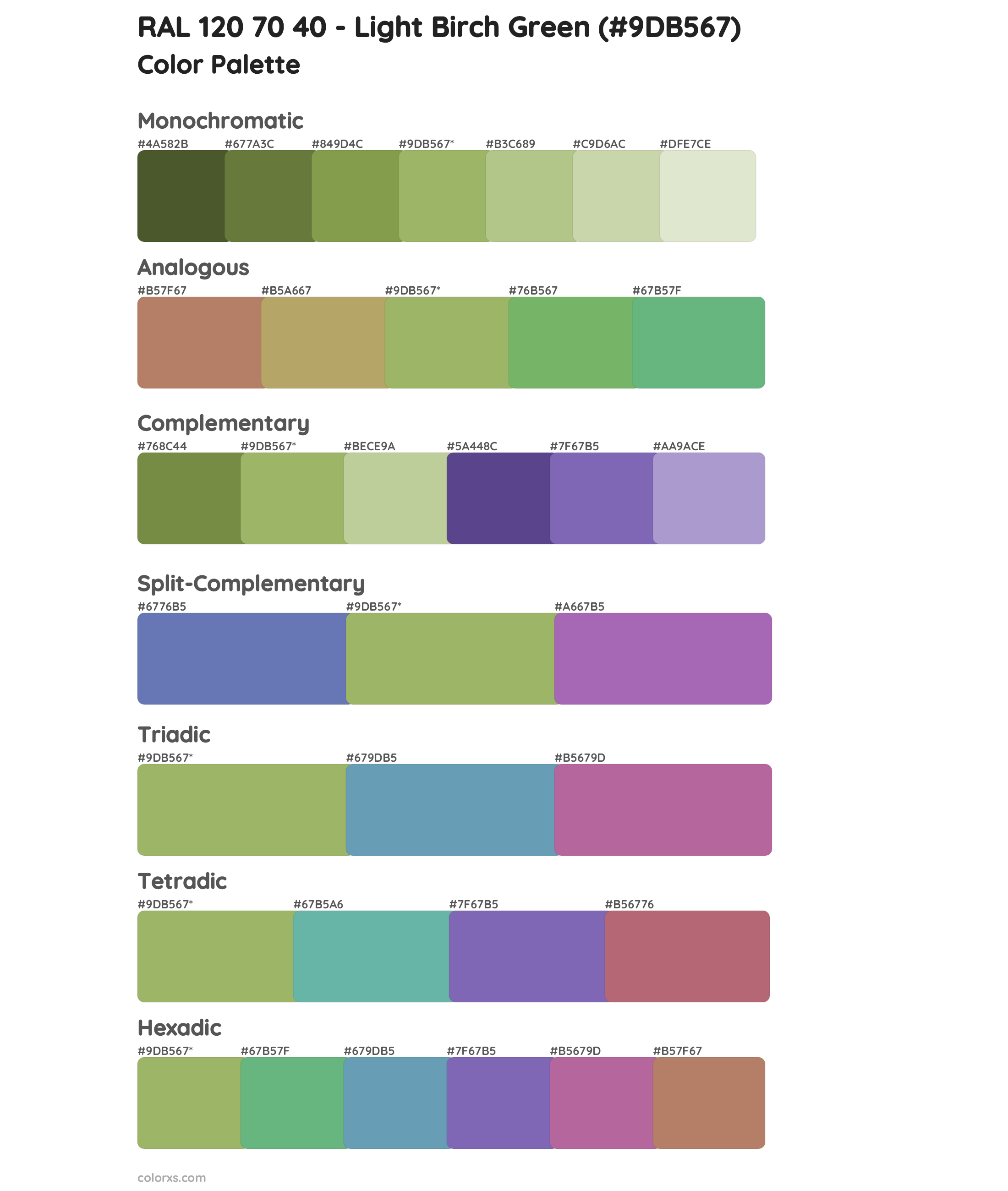 RAL 120 70 40 - Light Birch Green Color Scheme Palettes