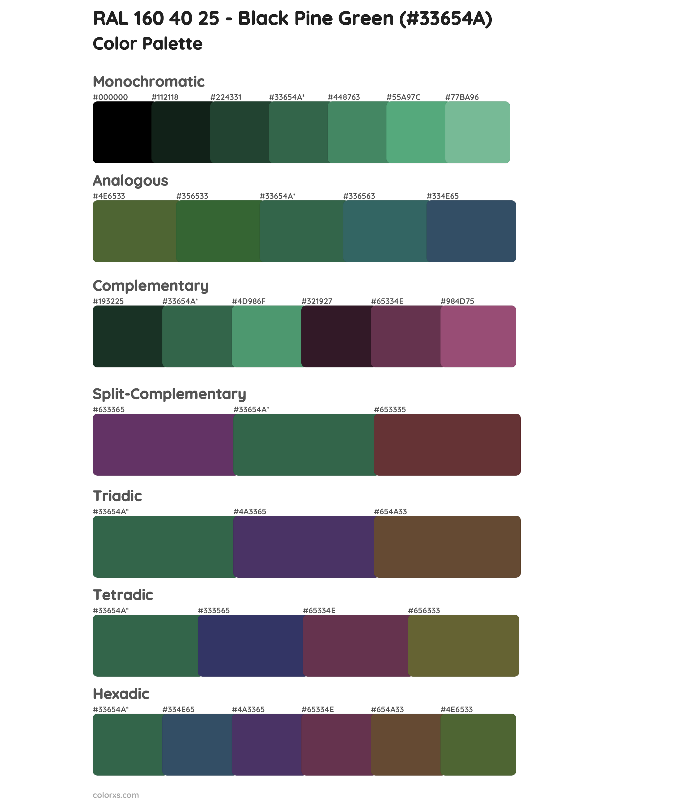 RAL 160 40 25 - Black Pine Green Color Scheme Palettes