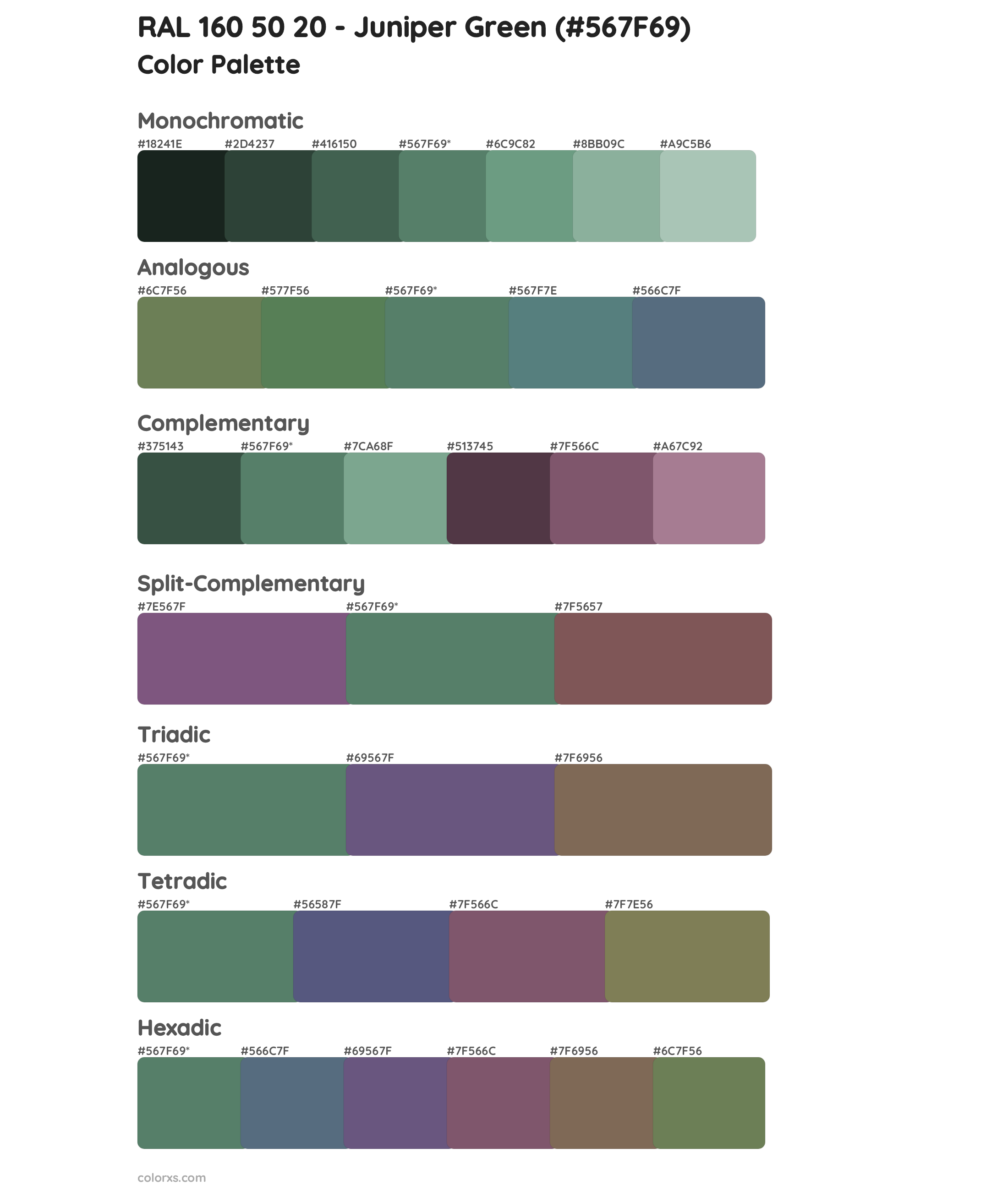 RAL 160 50 20 - Juniper Green color palettes - colorxs.com