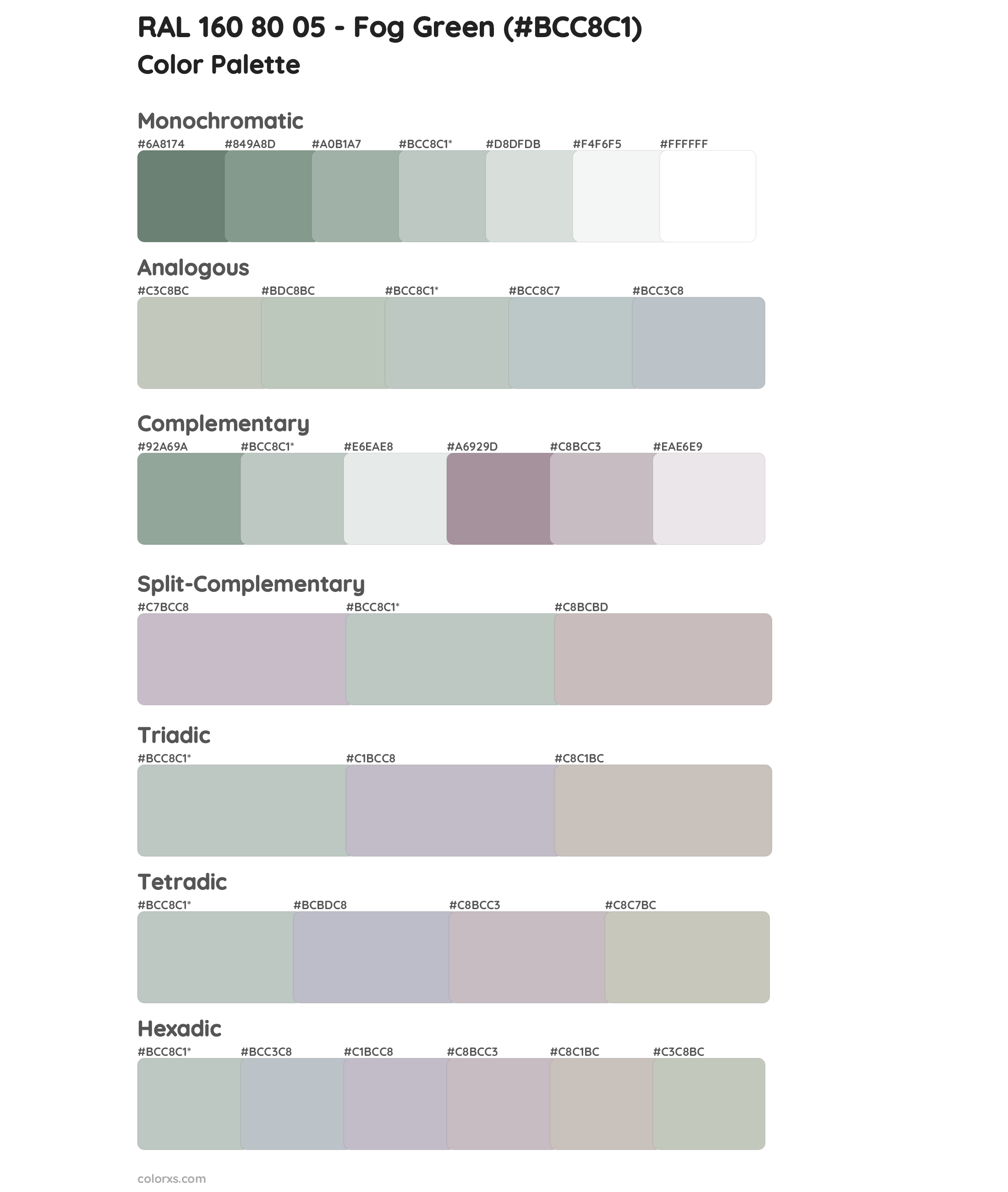 RAL 160 80 05 - Fog Green Color Scheme Palettes