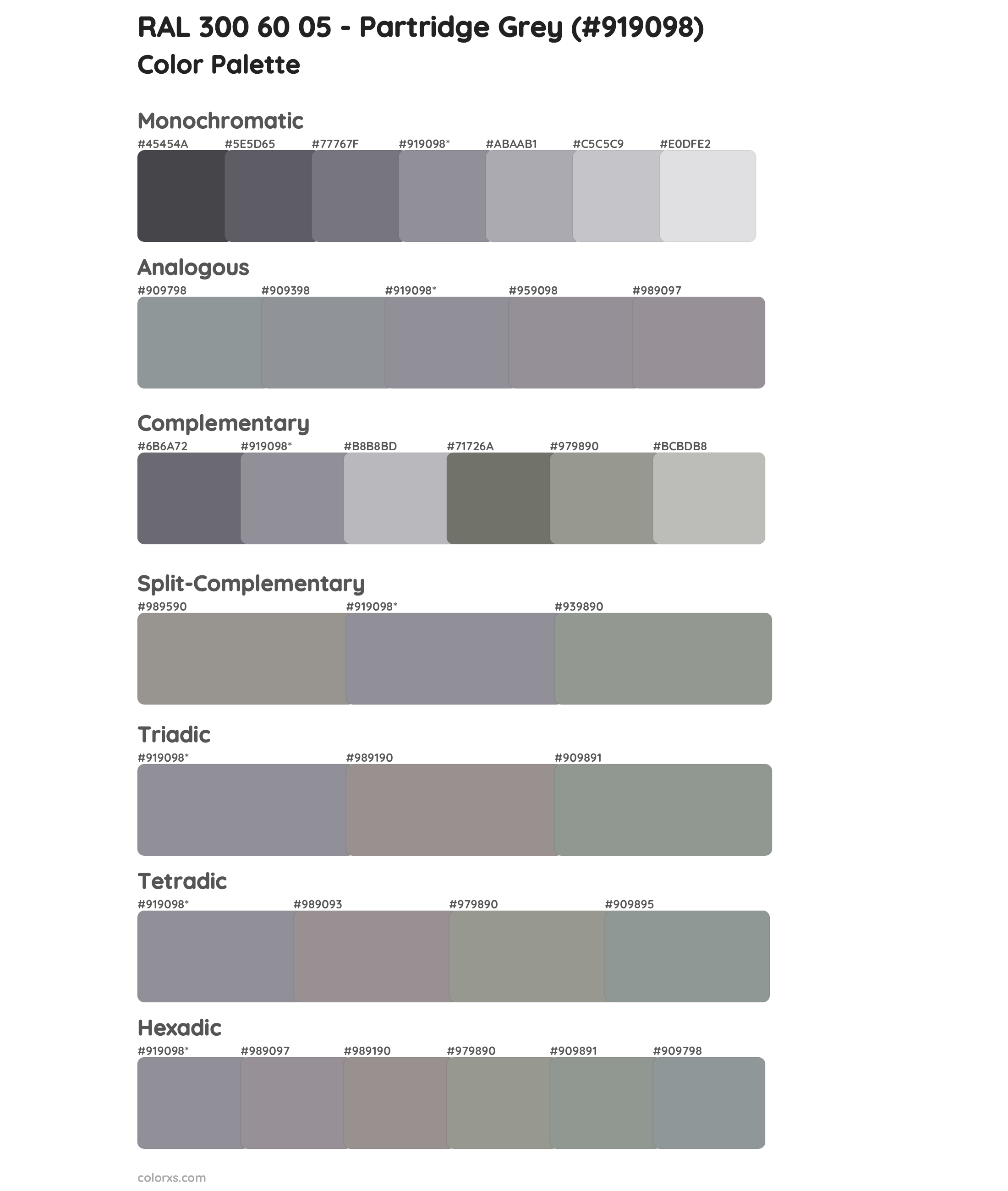 RAL 300 60 05 - Partridge Grey Color Scheme Palettes