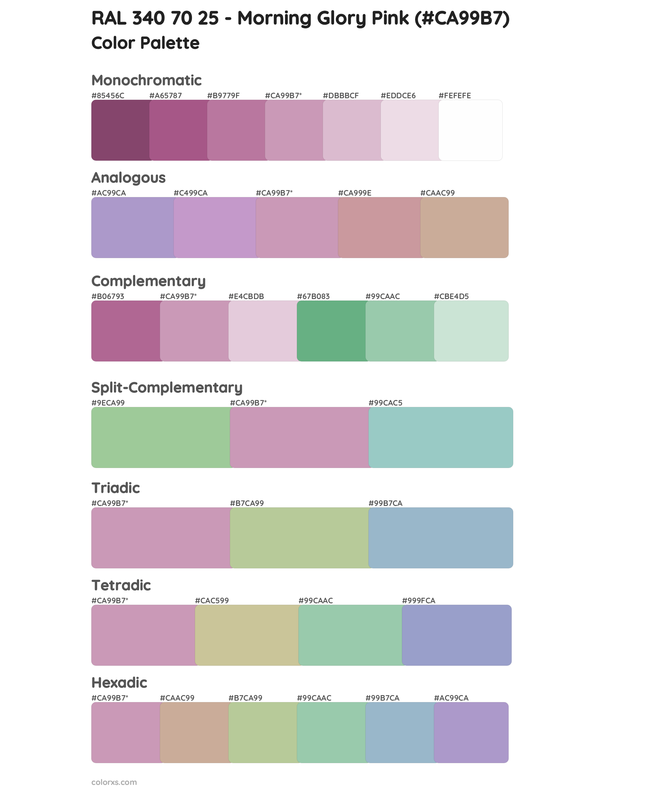 RAL 340 70 25 - Morning Glory Pink Color Scheme Palettes