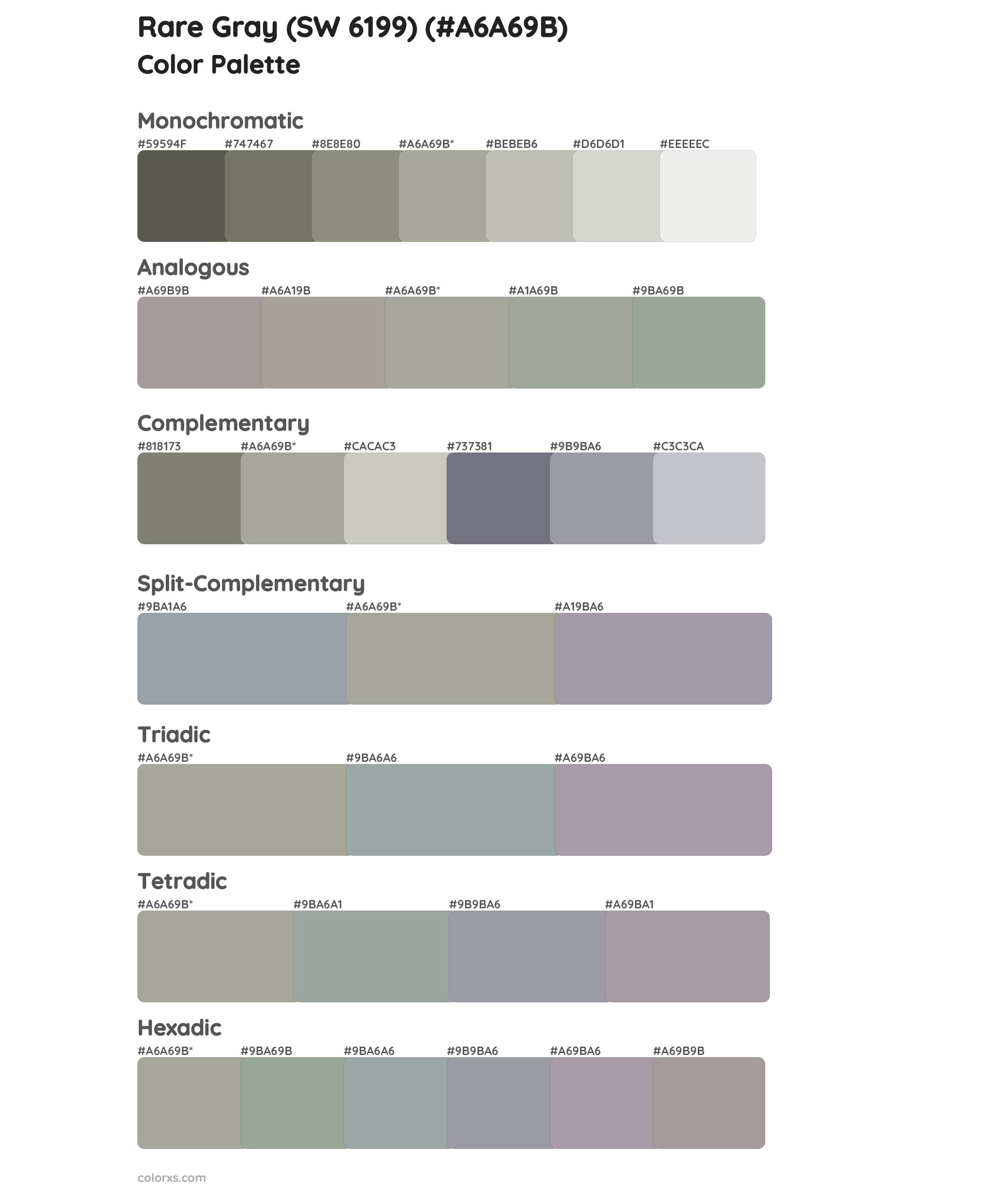 Sherwin Williams Rare Gray (SW 6199) Paint coordinating colors and palettes  