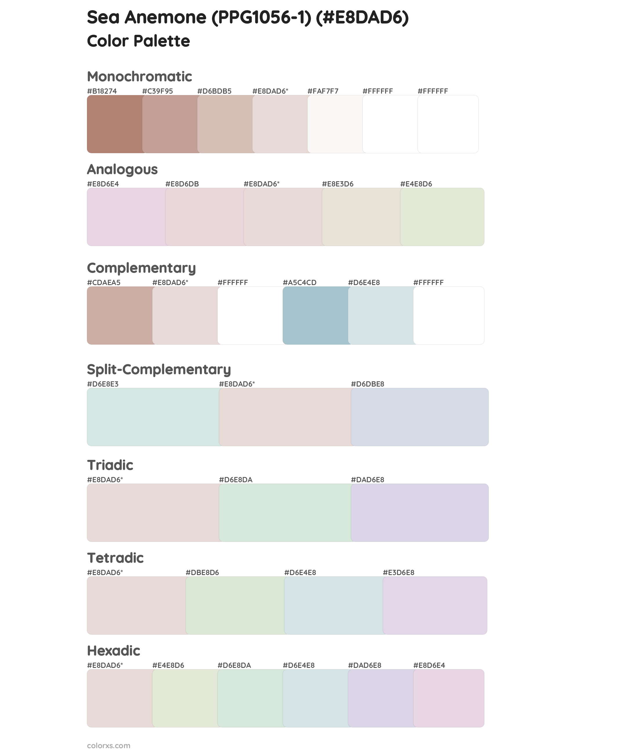 Sea Anemone (PPG1056-1) Color Scheme Palettes