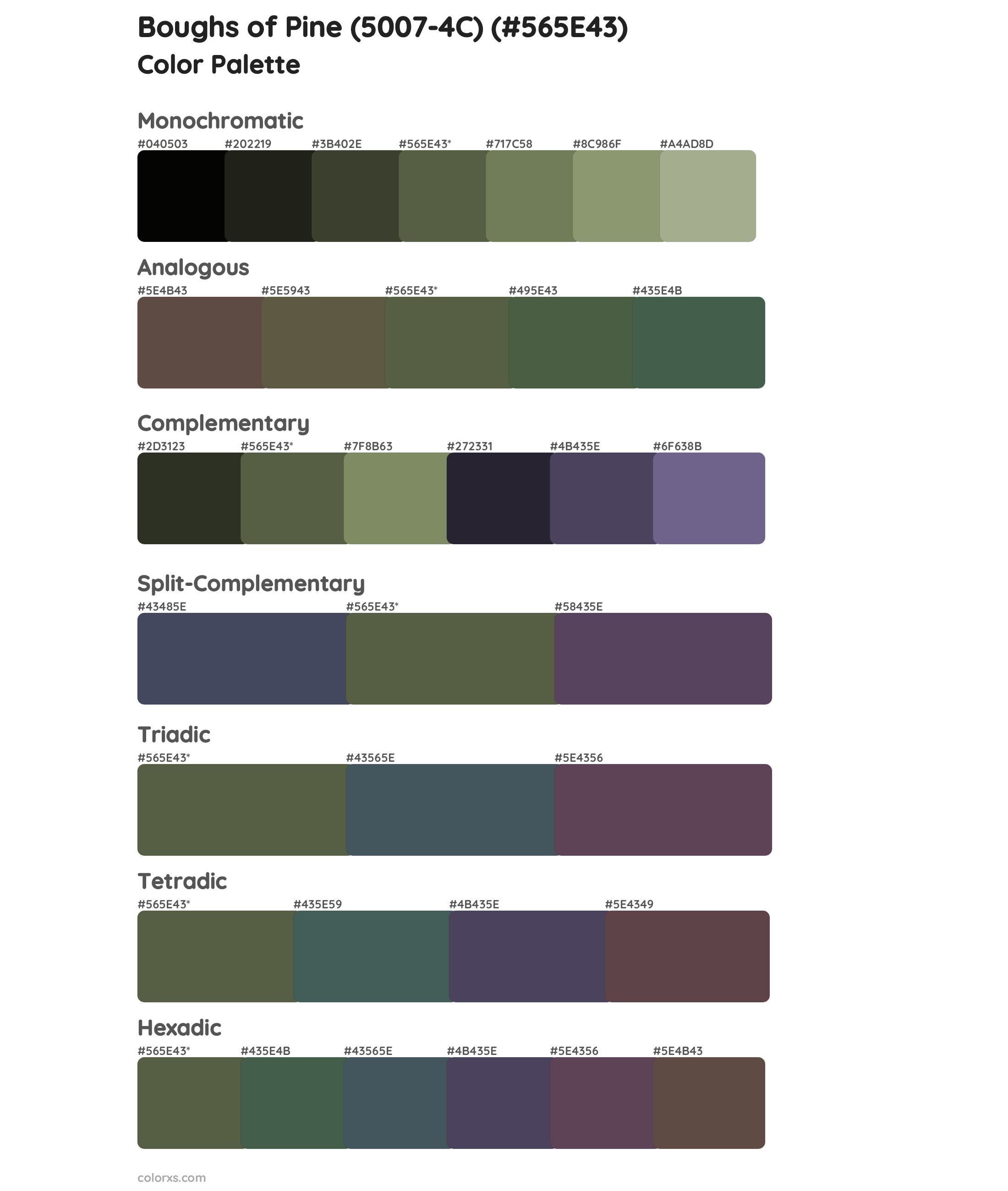 Boughs of Pine (5007-4C) Color Scheme Palettes