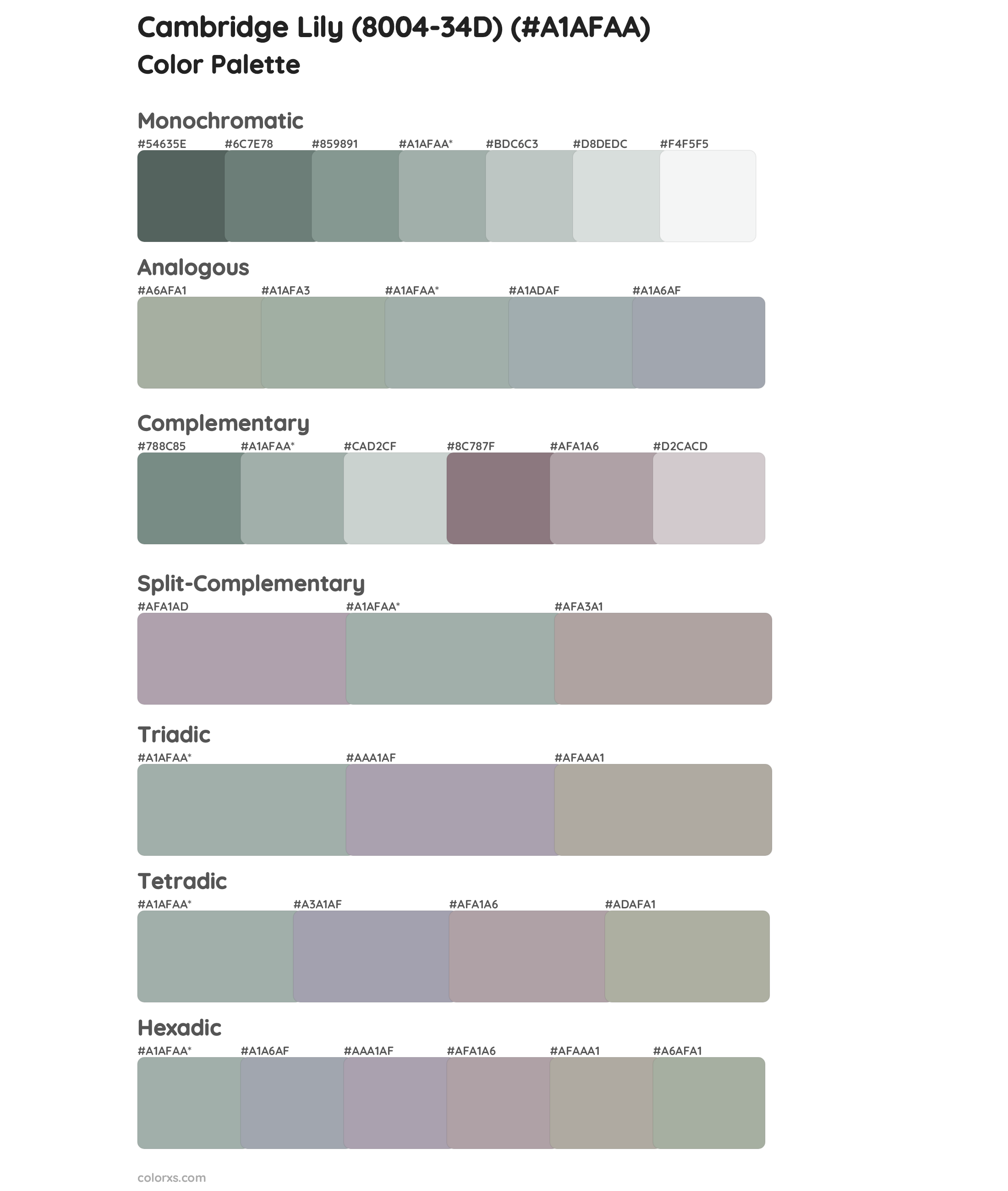 Cambridge Lily (8004-34D) Color Scheme Palettes