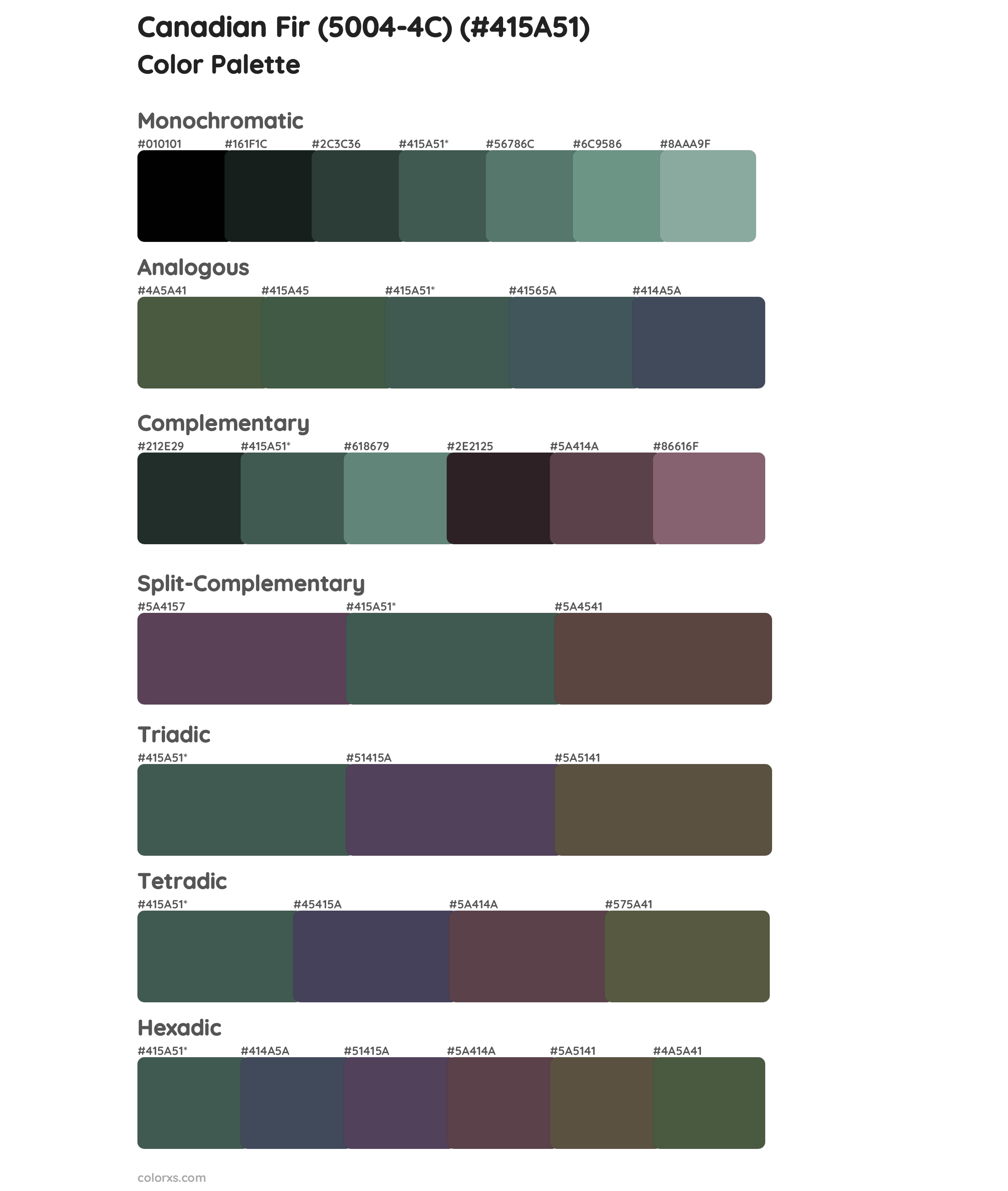 Canadian Fir (5004-4C) Color Scheme Palettes