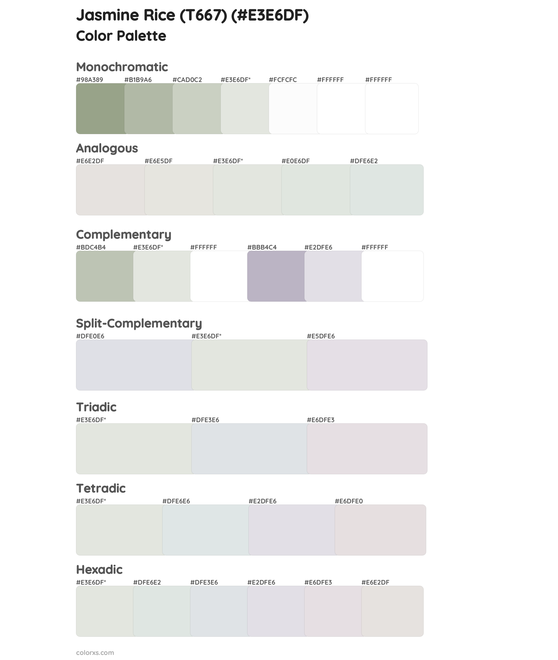 Jasmine Rice (T667) Color Scheme Palettes