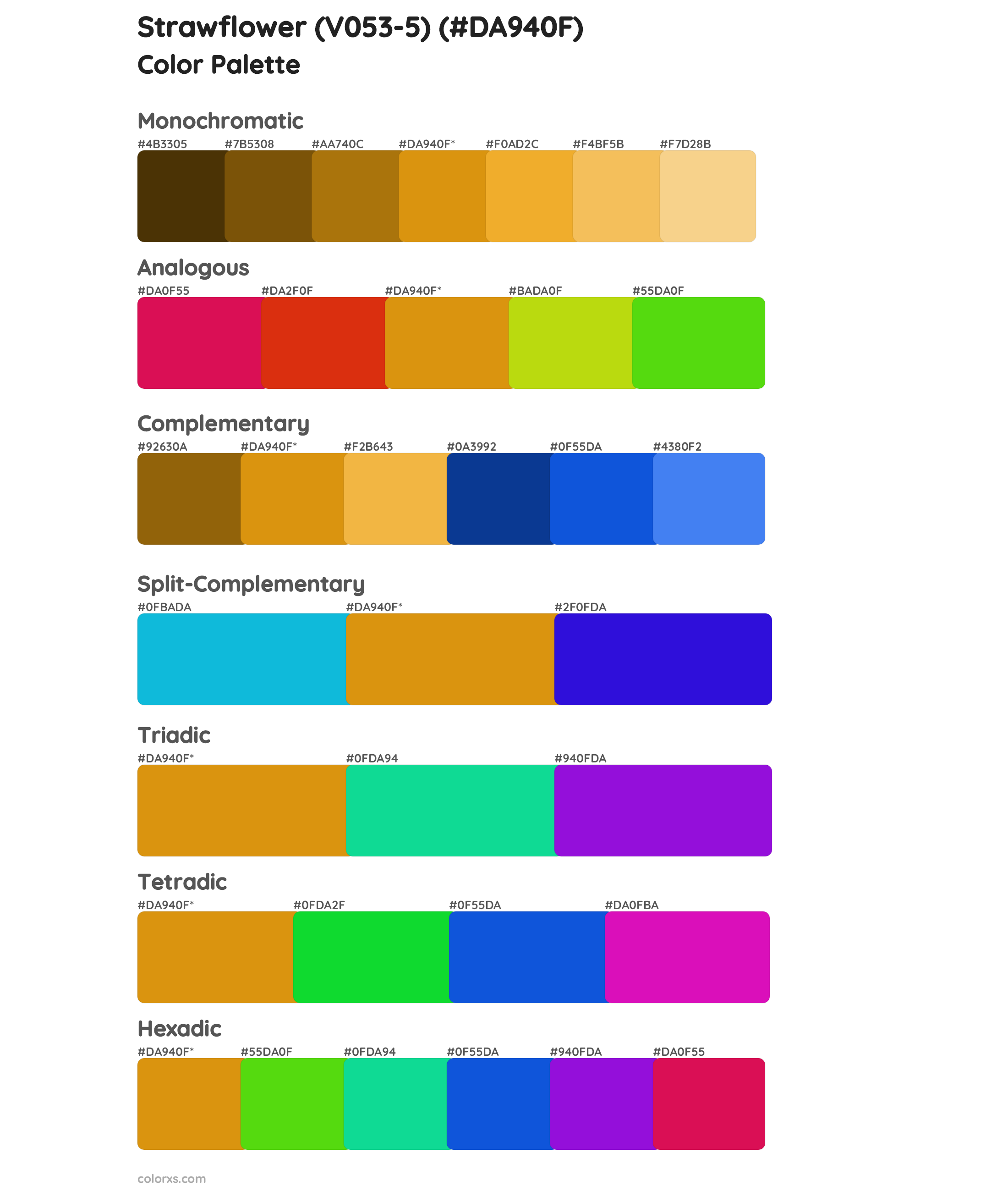 Strawflower (V053-5) Color Scheme Palettes