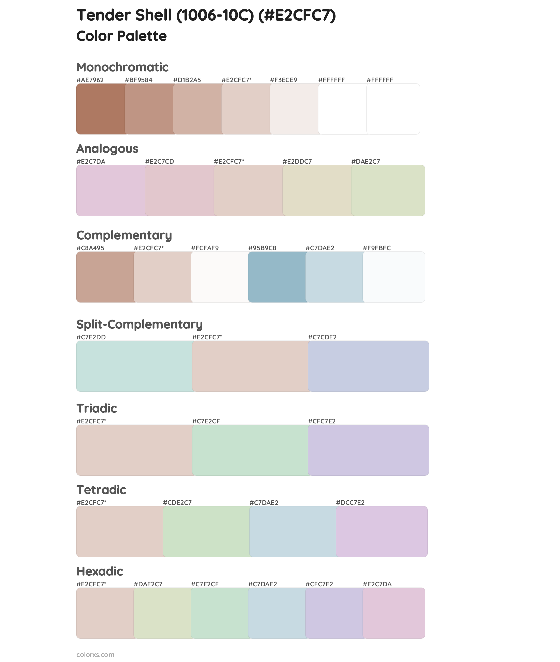 Tender Shell (1006-10C) Color Scheme Palettes