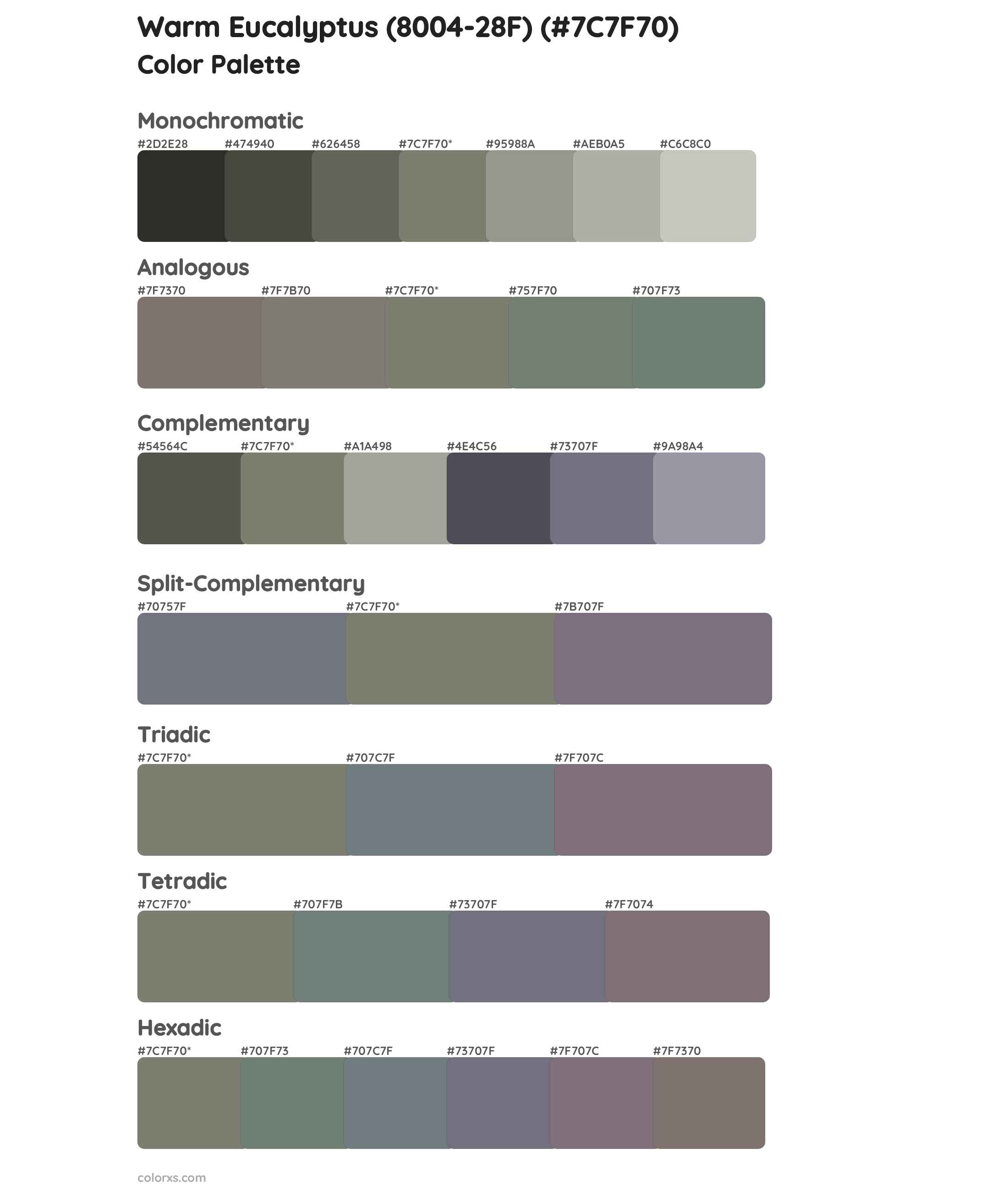 Warm Eucalyptus (8004-28F) Color Scheme Palettes