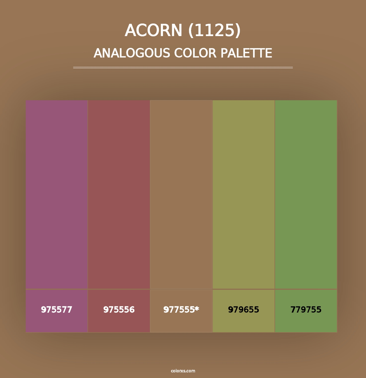 Acorn (1125) - Analogous Color Palette