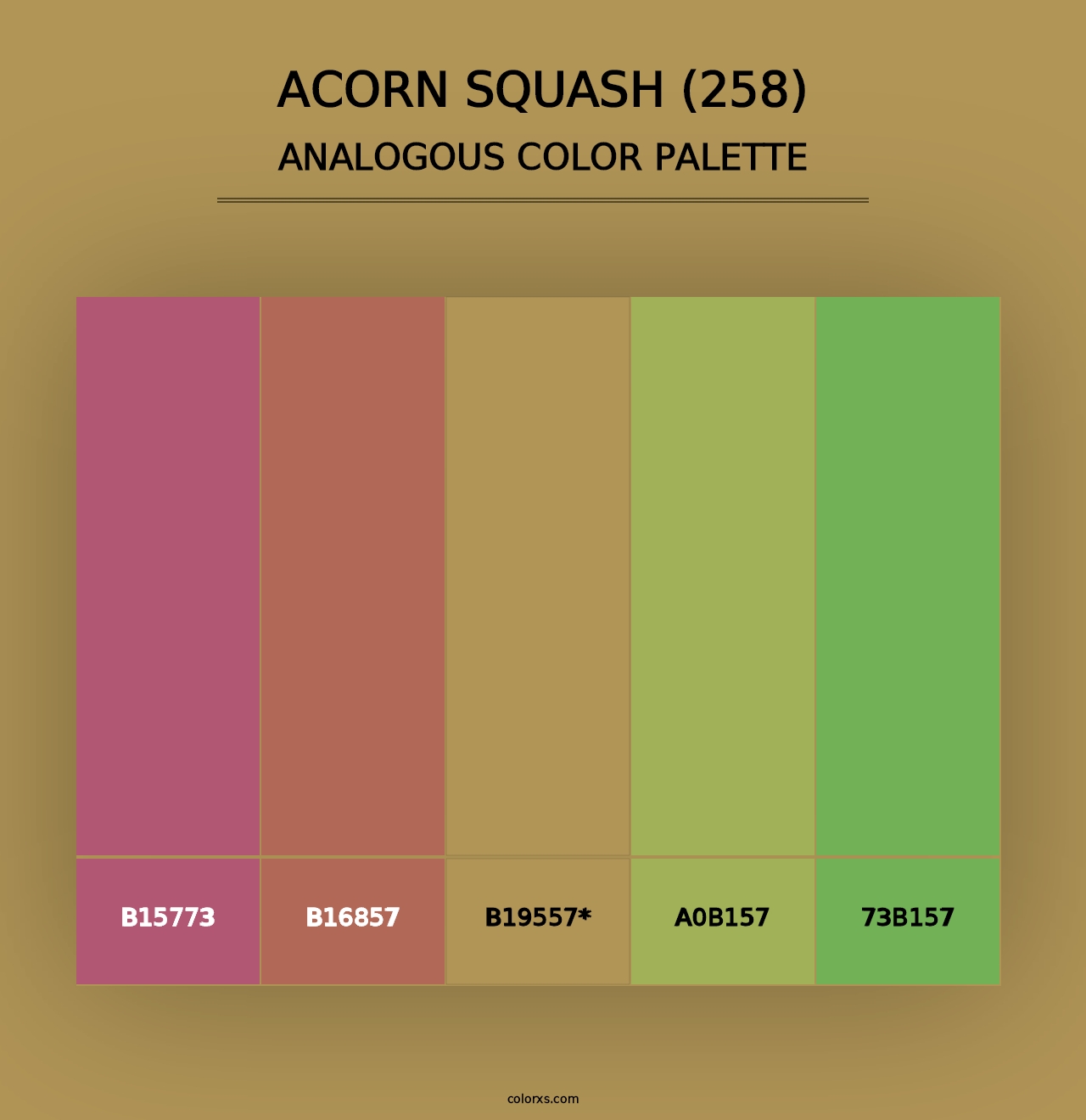 Acorn Squash (258) - Analogous Color Palette