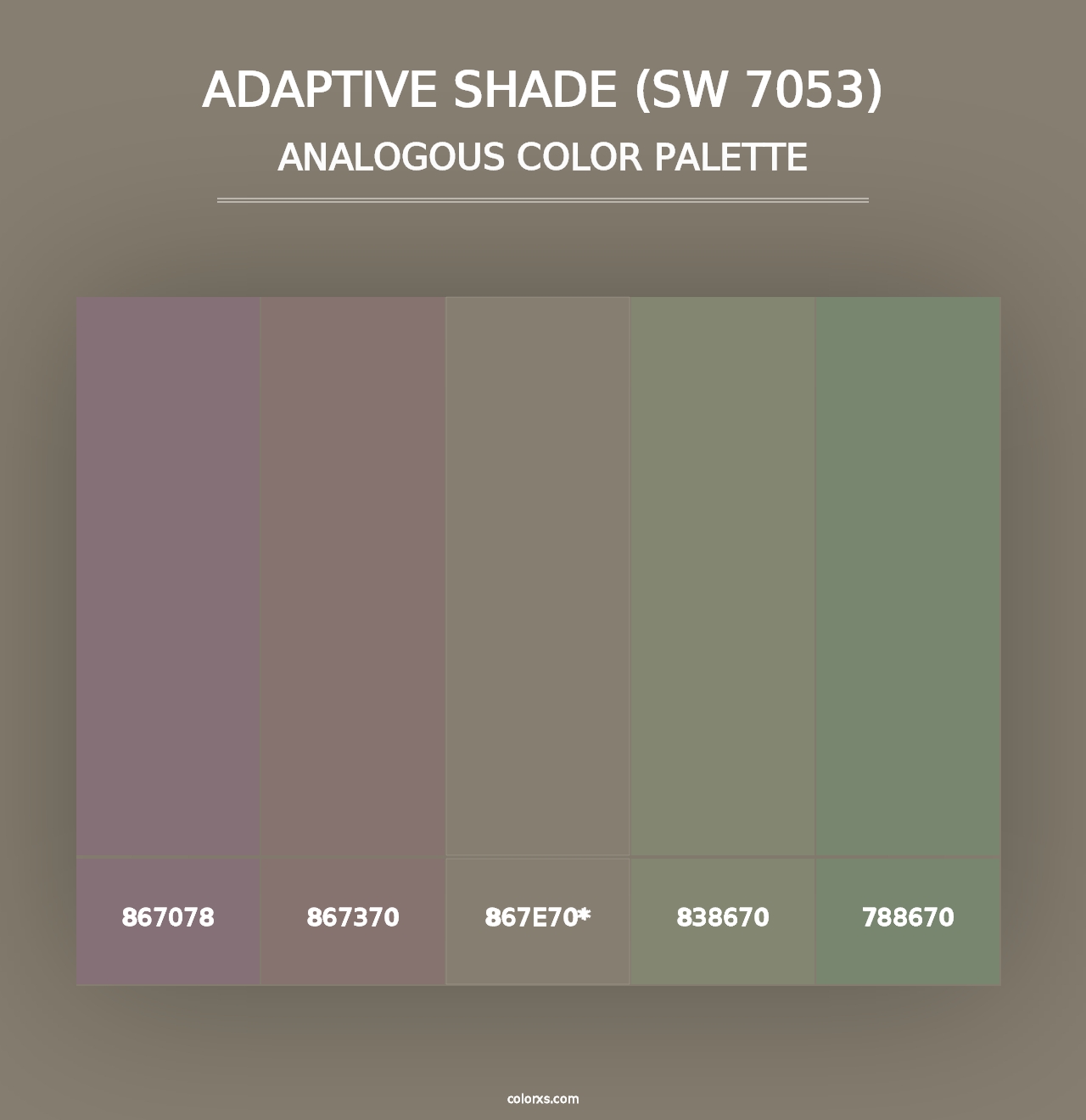 Adaptive Shade (SW 7053) - Analogous Color Palette