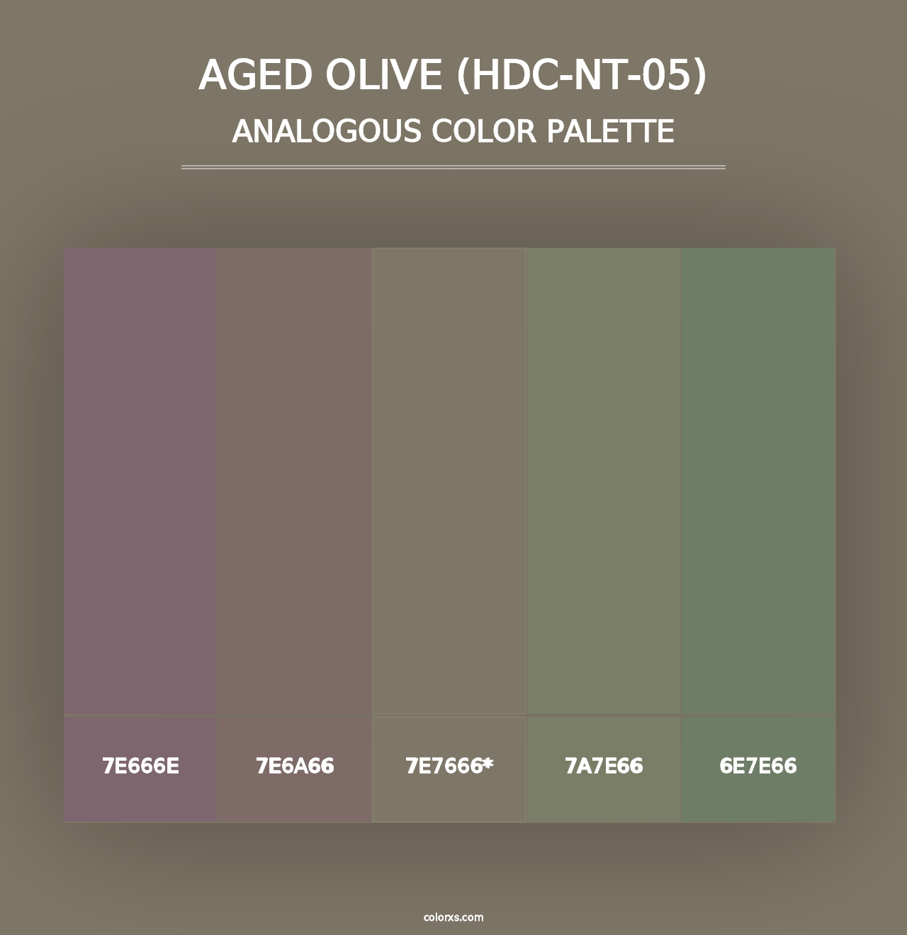 Aged Olive (HDC-NT-05) - Analogous Color Palette