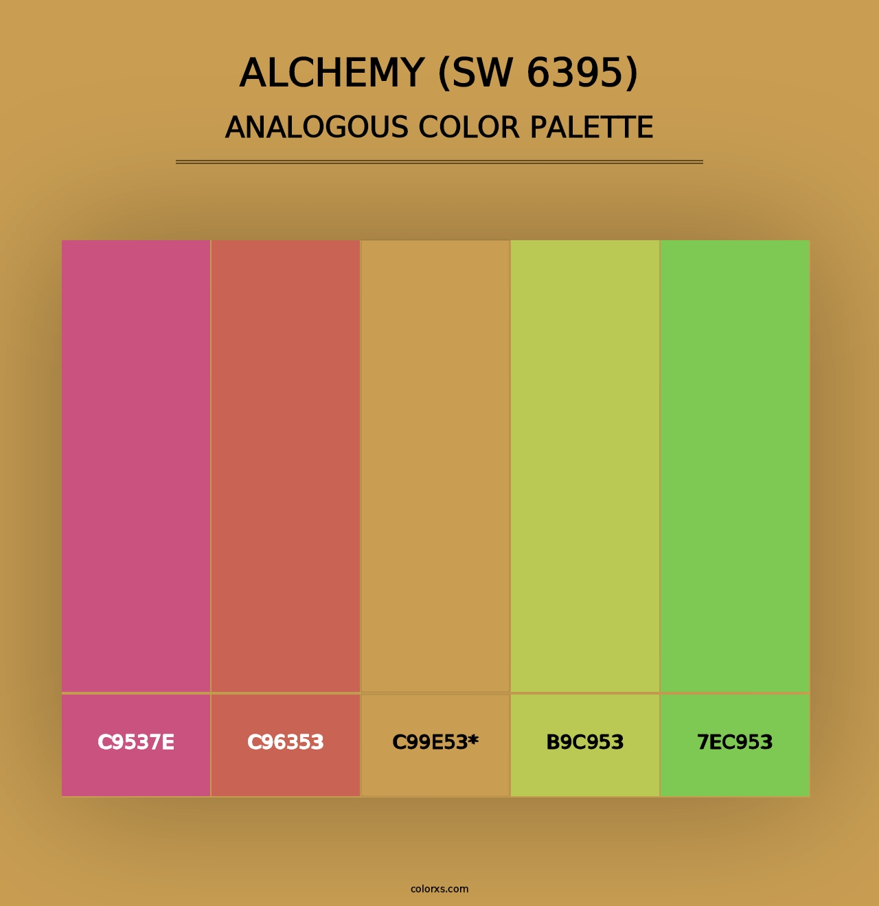 Alchemy (SW 6395) - Analogous Color Palette