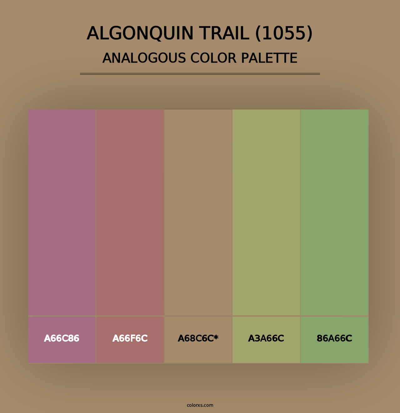 Algonquin Trail (1055) - Analogous Color Palette