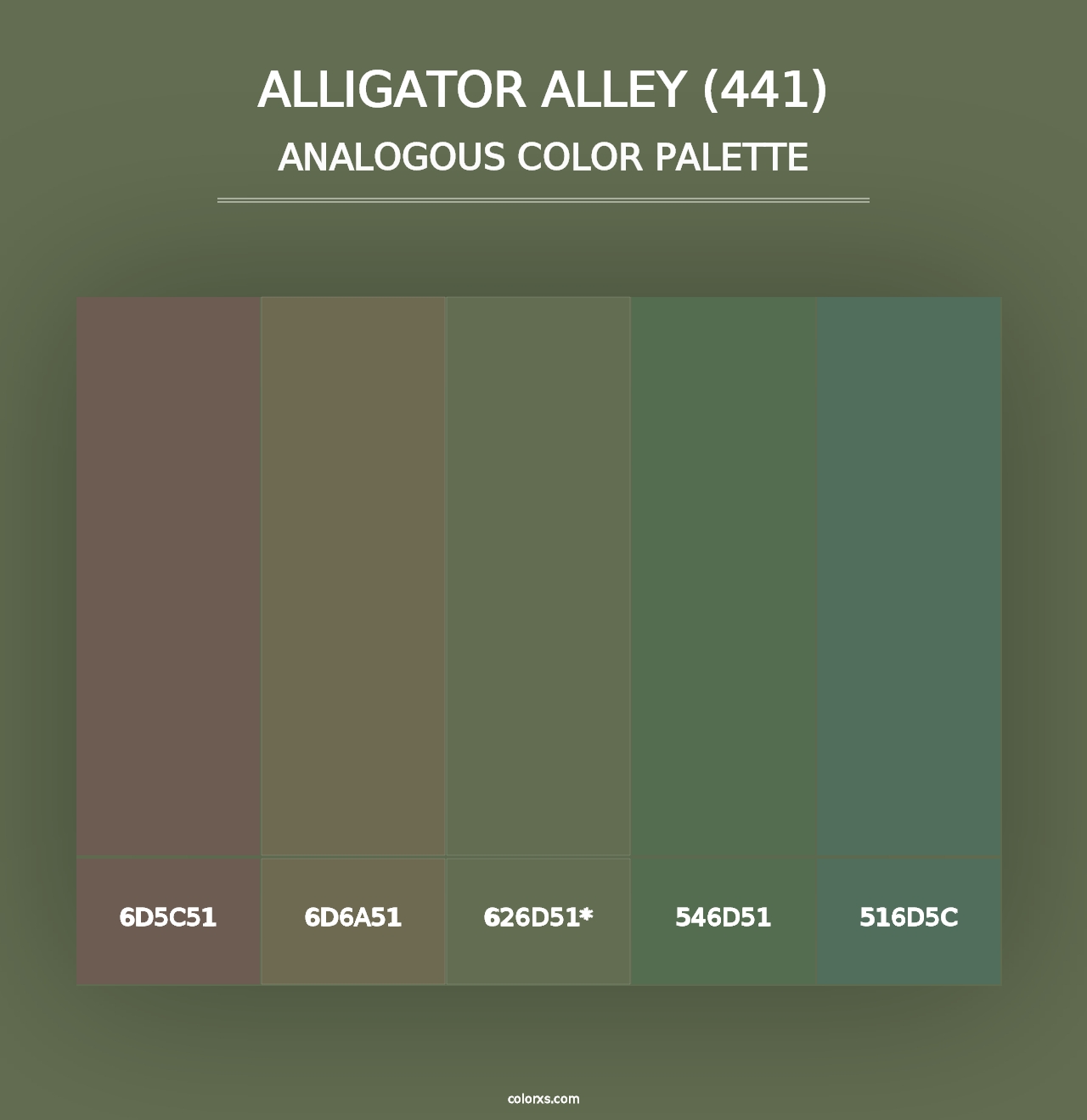 Alligator Alley (441) - Analogous Color Palette