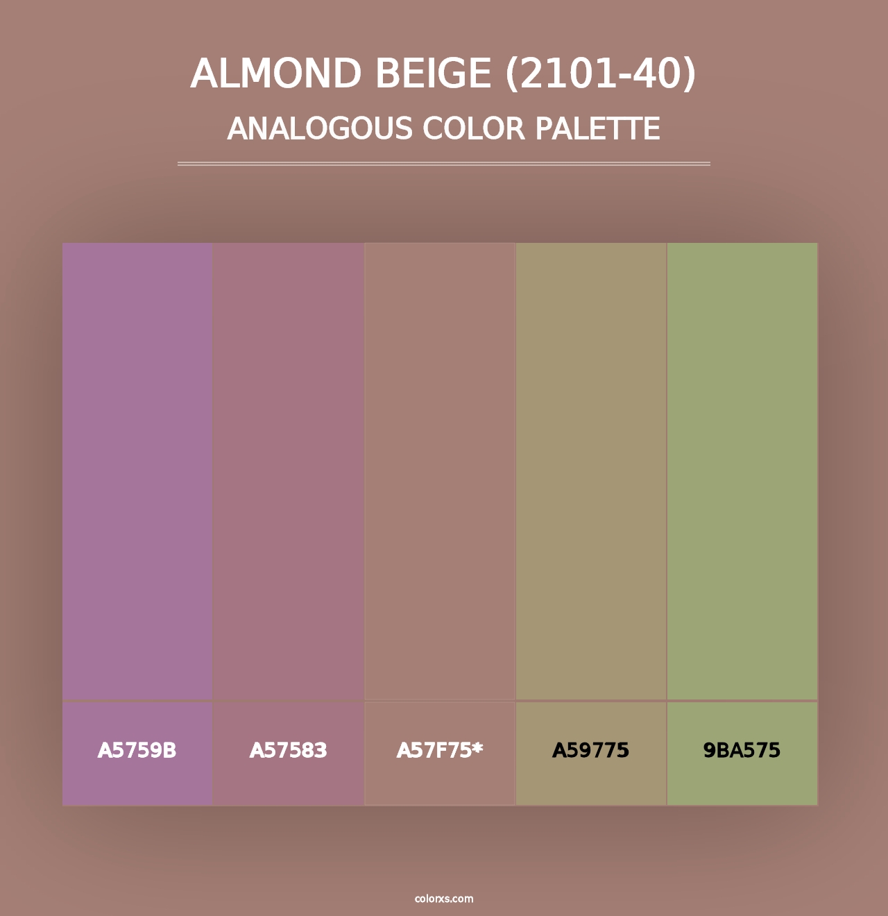 Almond Beige (2101-40) - Analogous Color Palette