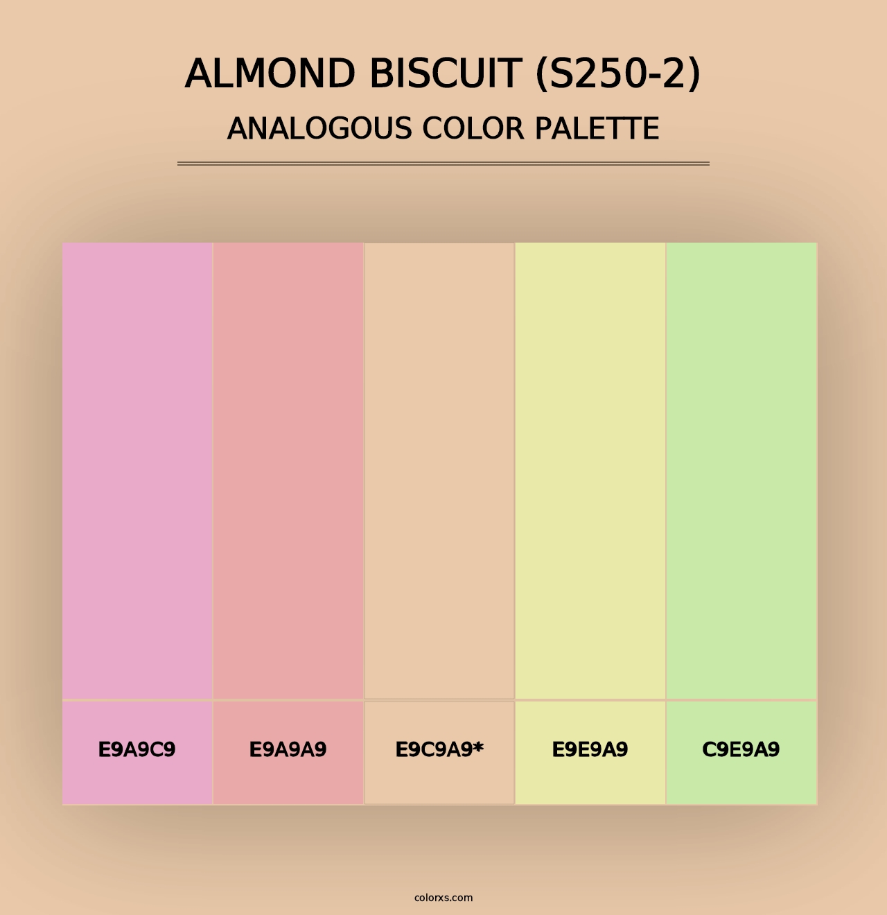 Almond Biscuit (S250-2) - Analogous Color Palette