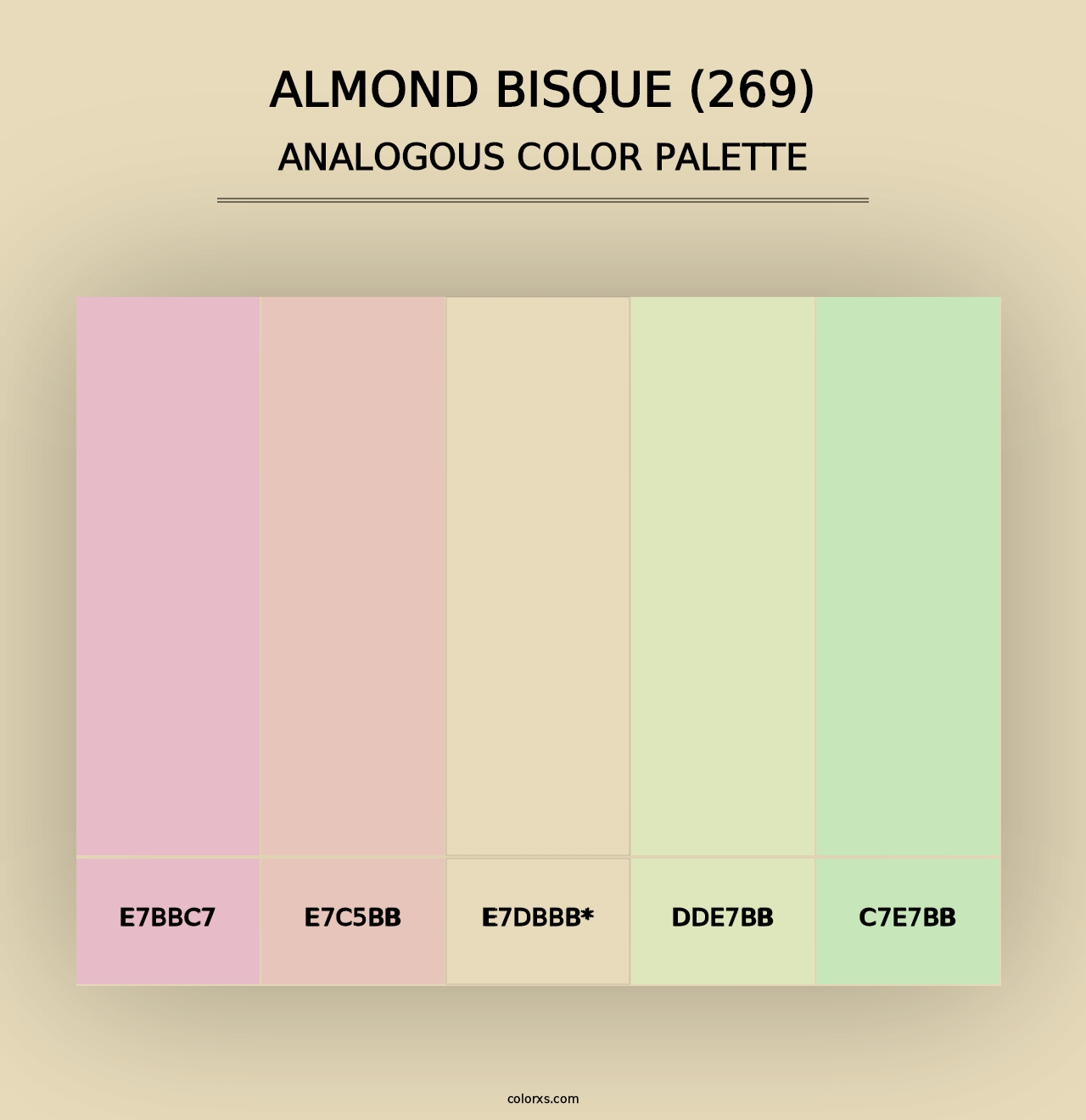 Almond Bisque (269) - Analogous Color Palette