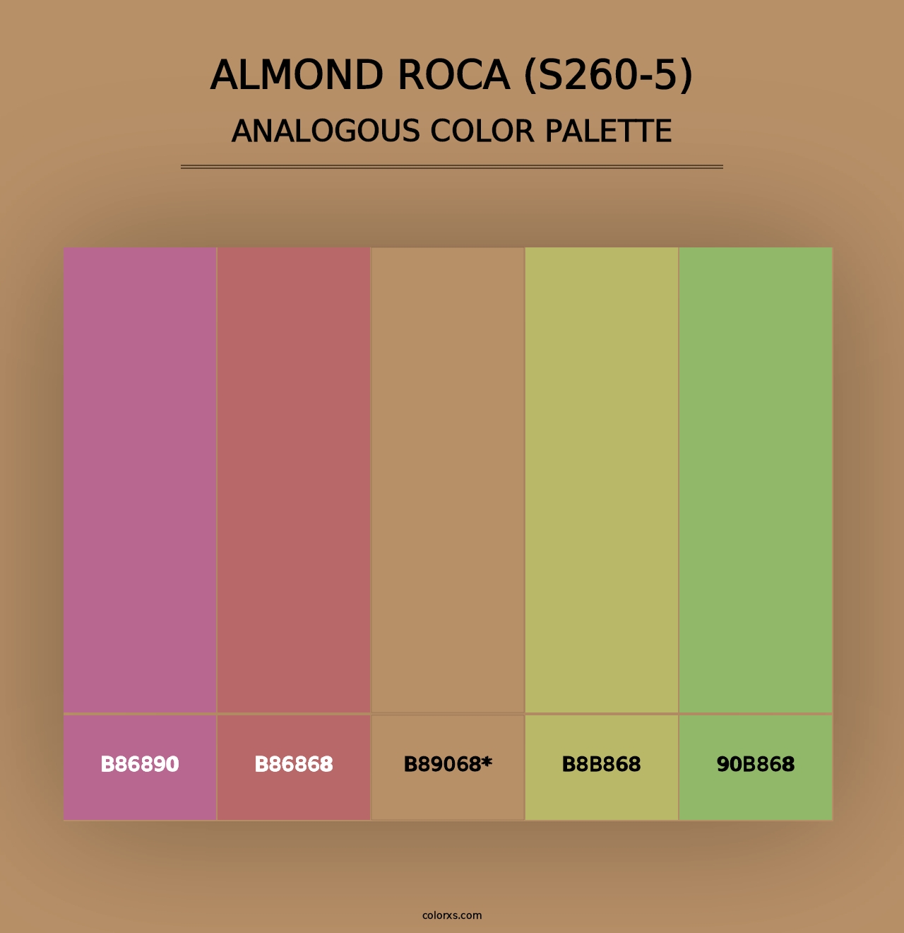 Almond Roca (S260-5) - Analogous Color Palette