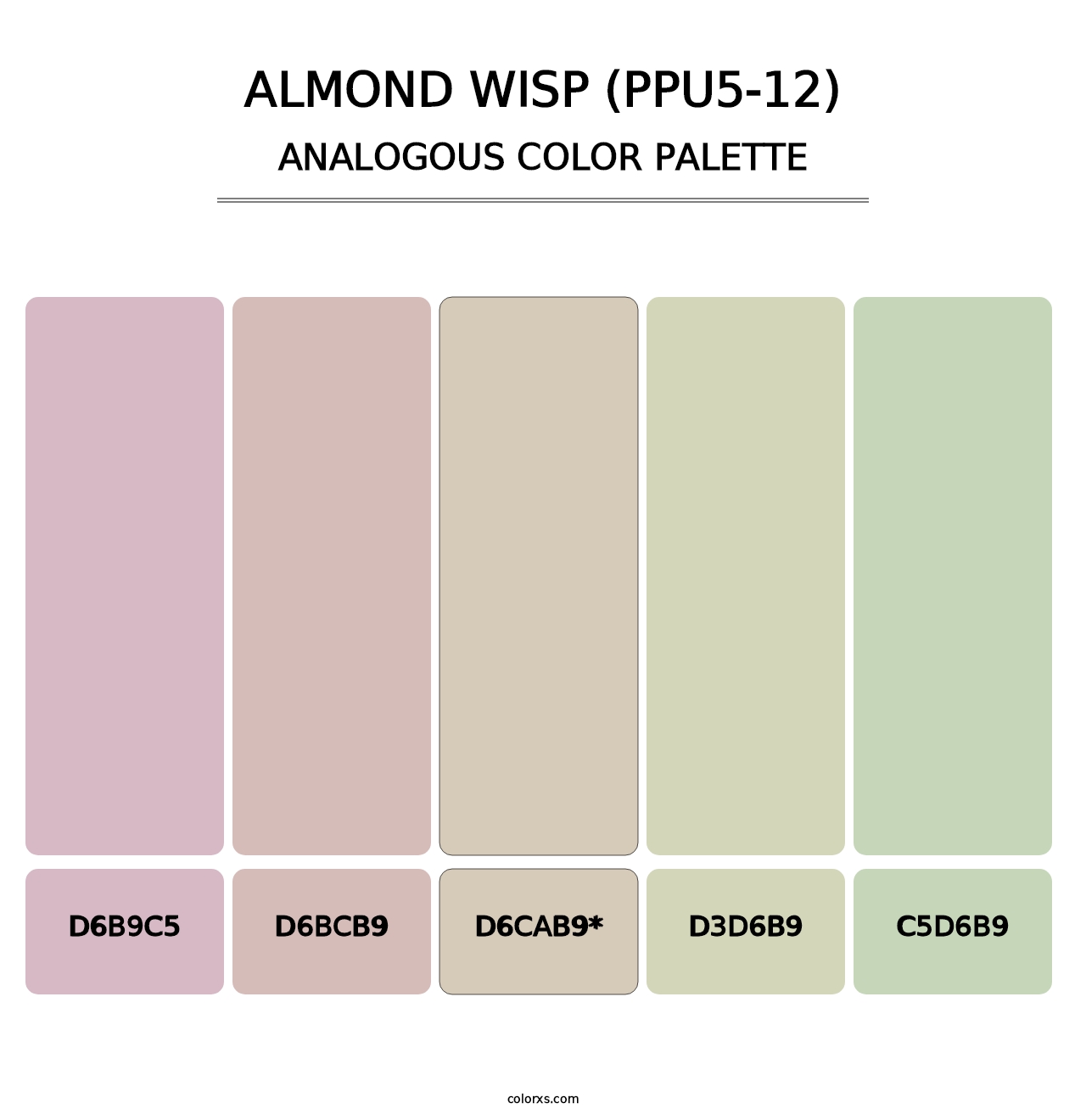 Almond Wisp (PPU5-12) - Analogous Color Palette