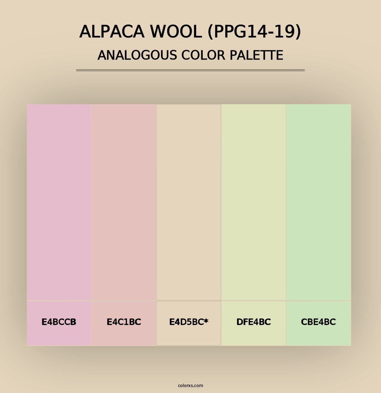 Alpaca Wool (PPG14-19) - Analogous Color Palette