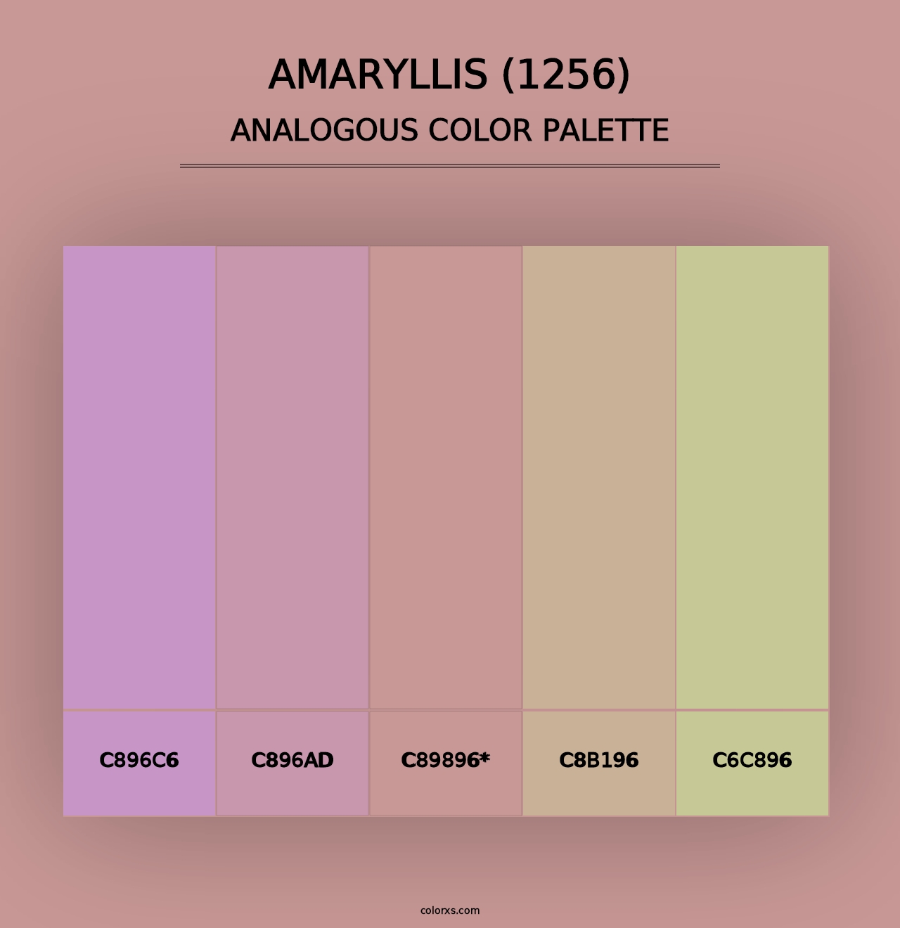 Amaryllis (1256) - Analogous Color Palette