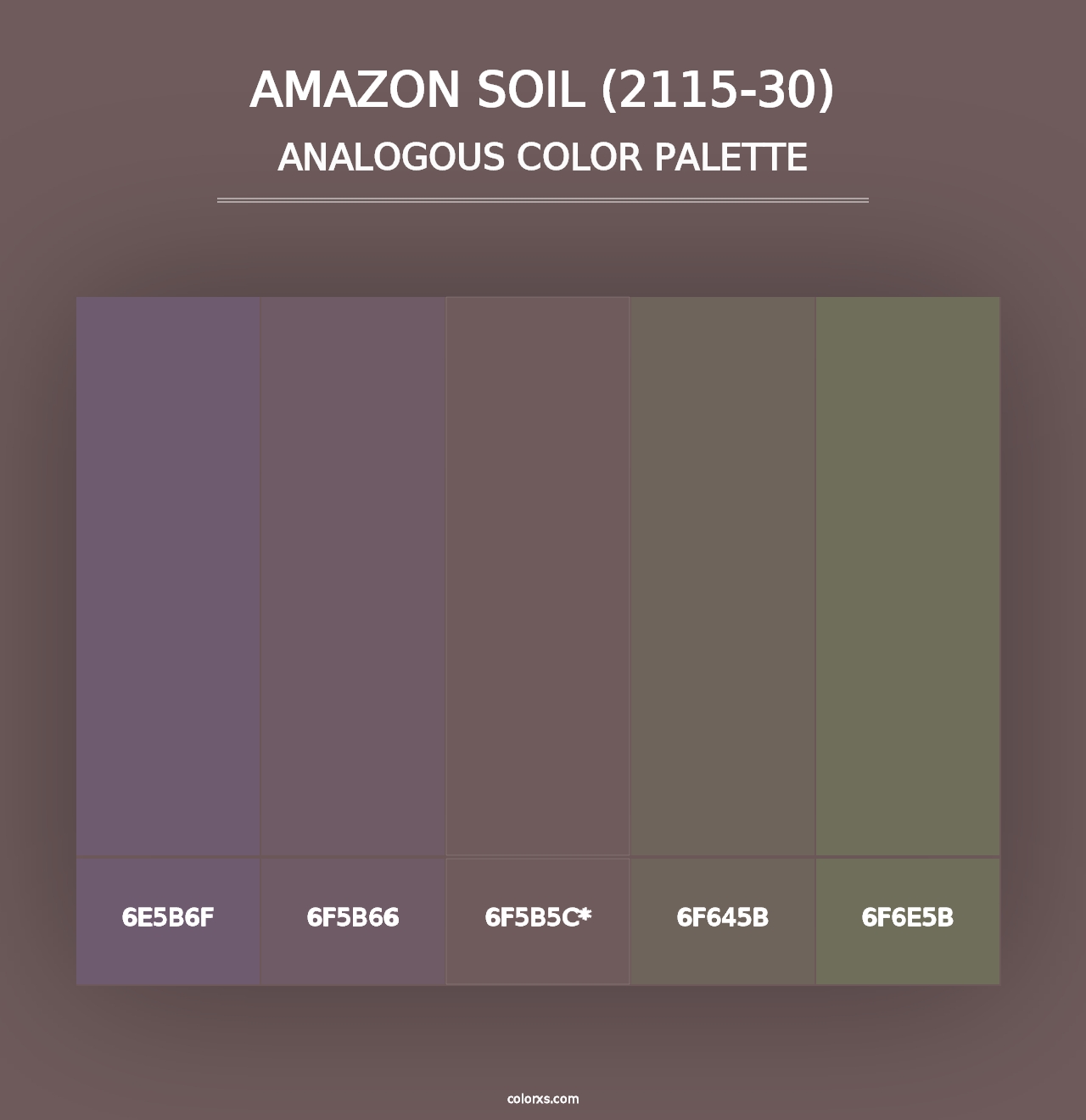 Amazon Soil (2115-30) - Analogous Color Palette