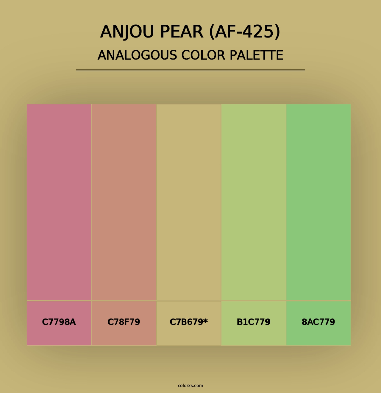 Anjou Pear (AF-425) - Analogous Color Palette