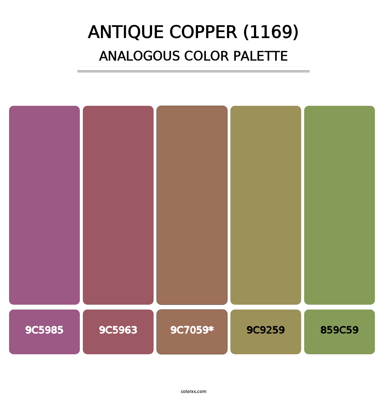 Antique Copper (1169) - Analogous Color Palette