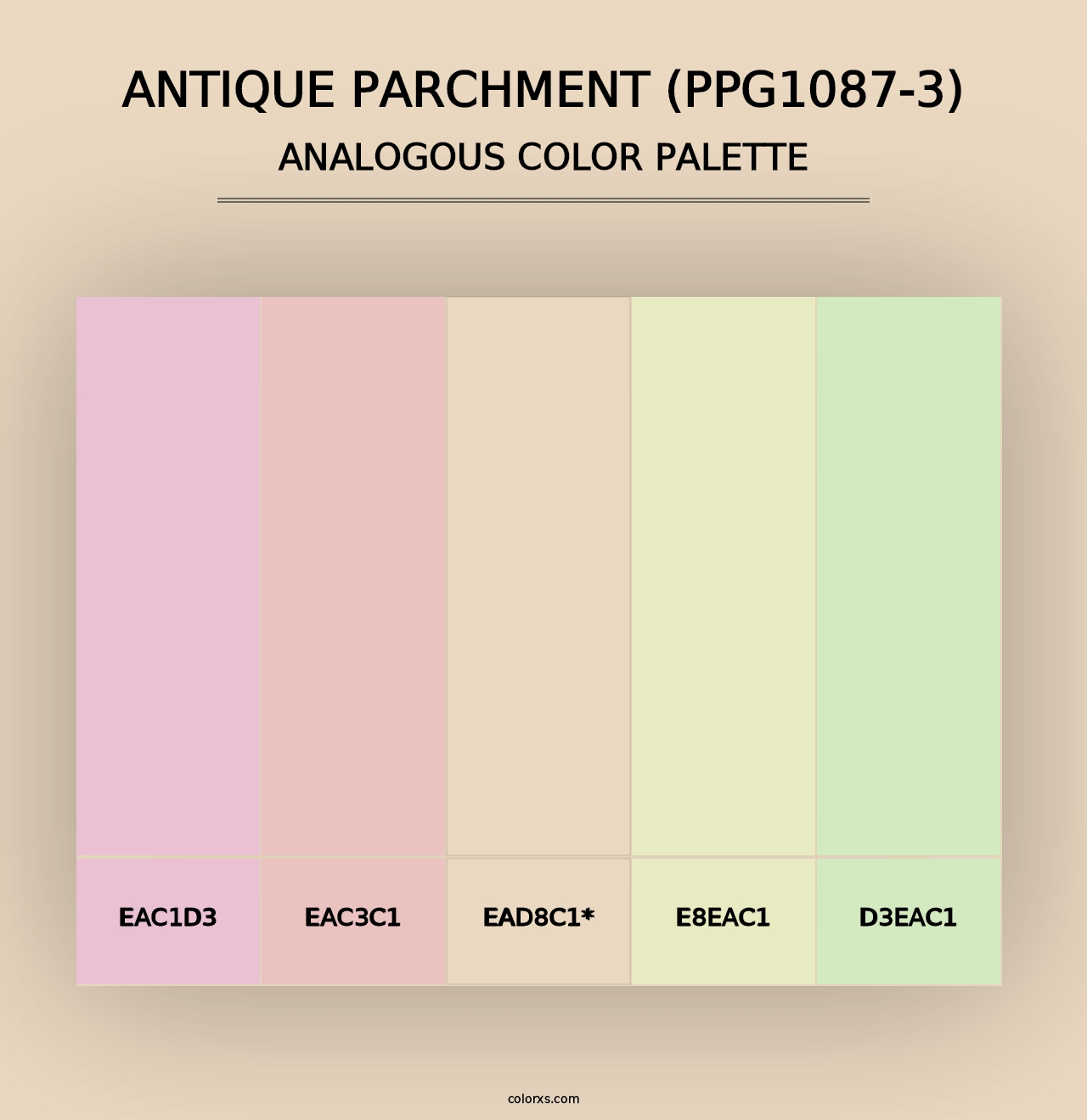 Antique Parchment (PPG1087-3) - Analogous Color Palette