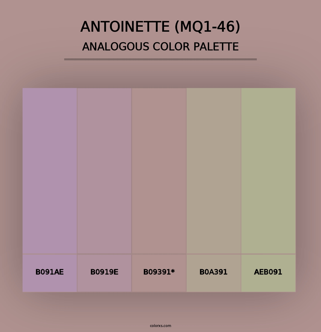 Antoinette (MQ1-46) - Analogous Color Palette