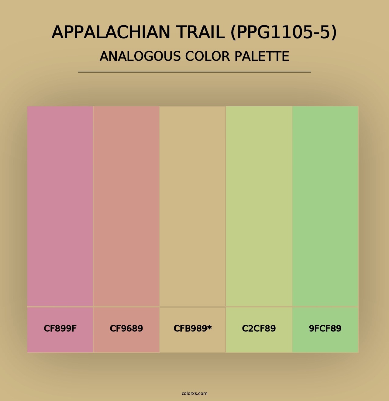 Appalachian Trail (PPG1105-5) - Analogous Color Palette