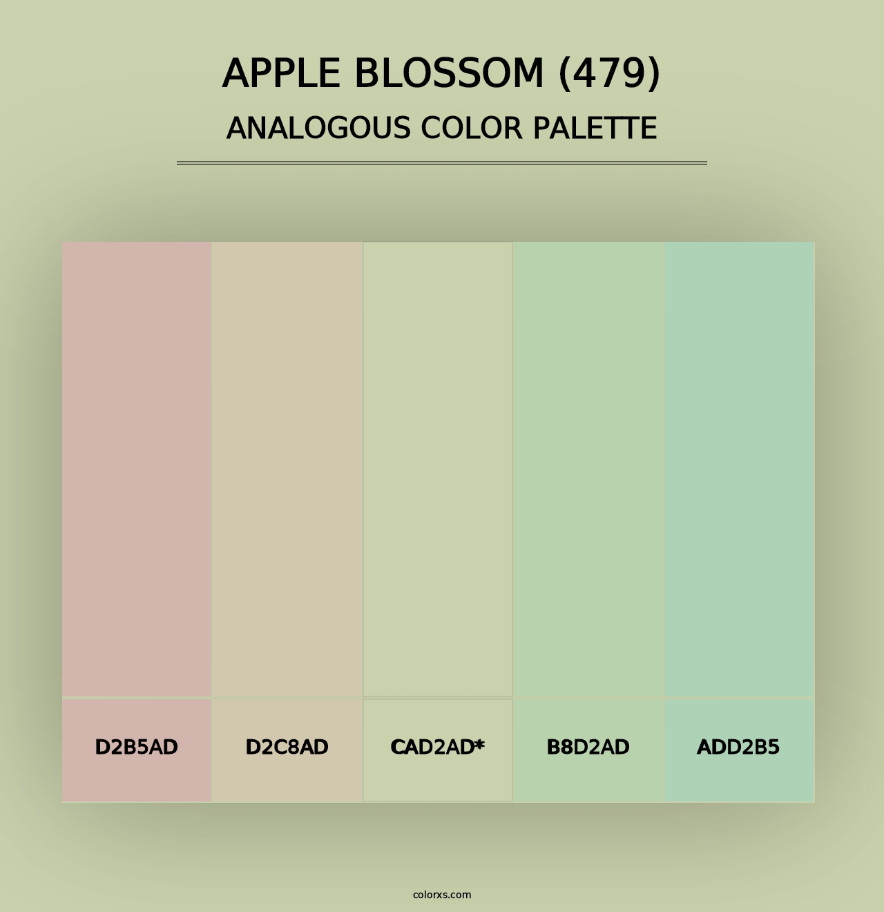 Apple Blossom (479) - Analogous Color Palette