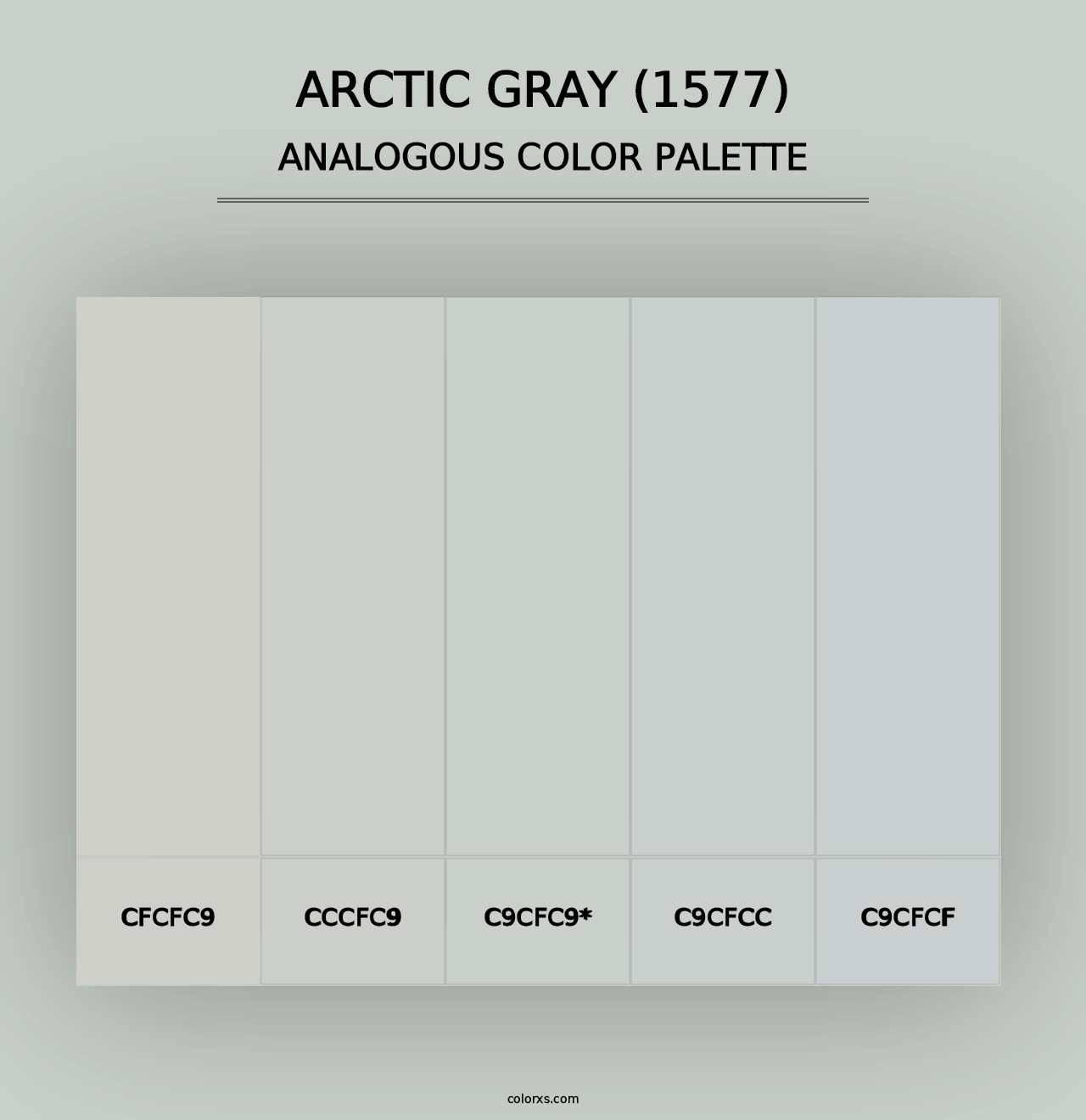 Arctic Gray (1577) - Analogous Color Palette