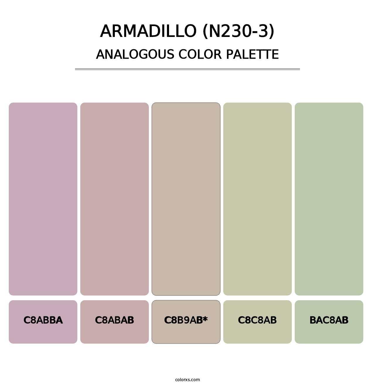 Armadillo (N230-3) - Analogous Color Palette