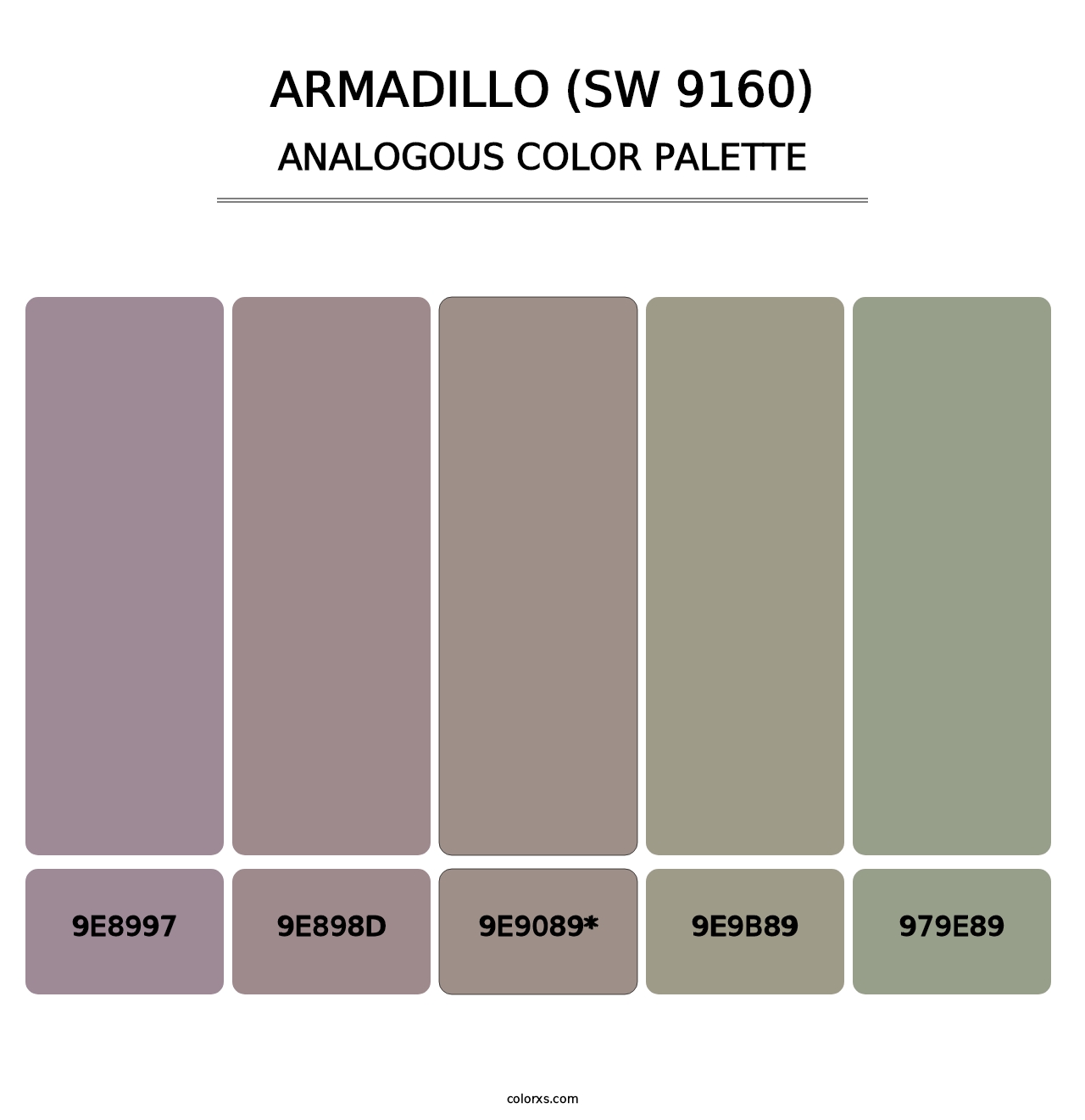 Armadillo (SW 9160) - Analogous Color Palette