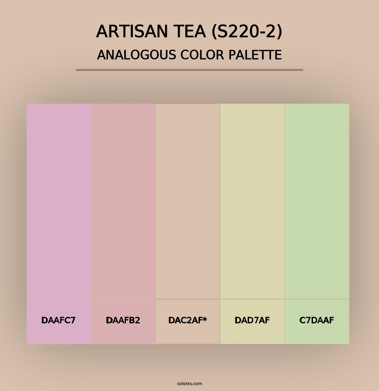 Artisan Tea (S220-2) - Analogous Color Palette