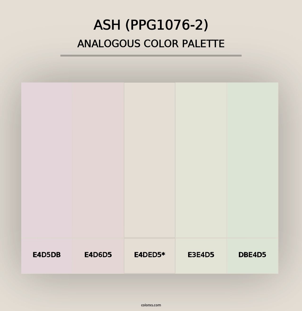 Ash (PPG1076-2) - Analogous Color Palette