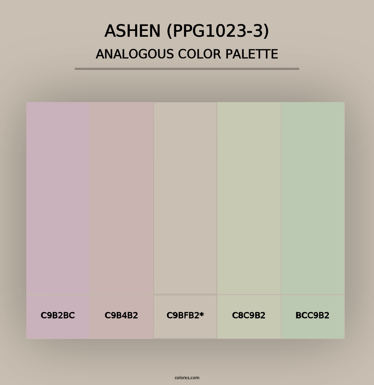 Ashen (PPG1023-3) - Analogous Color Palette